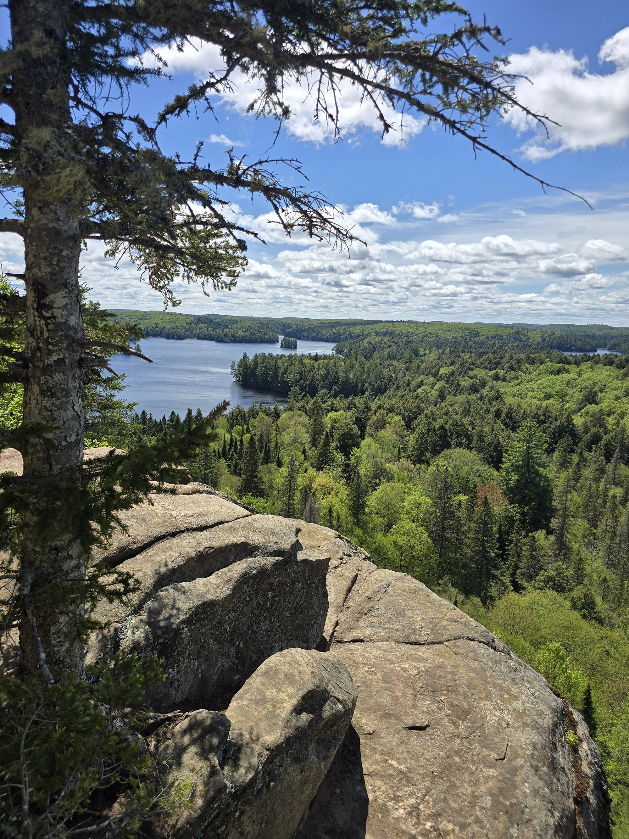 A view over a cliff on the track and tower trail in Algonquin Provincial Park.