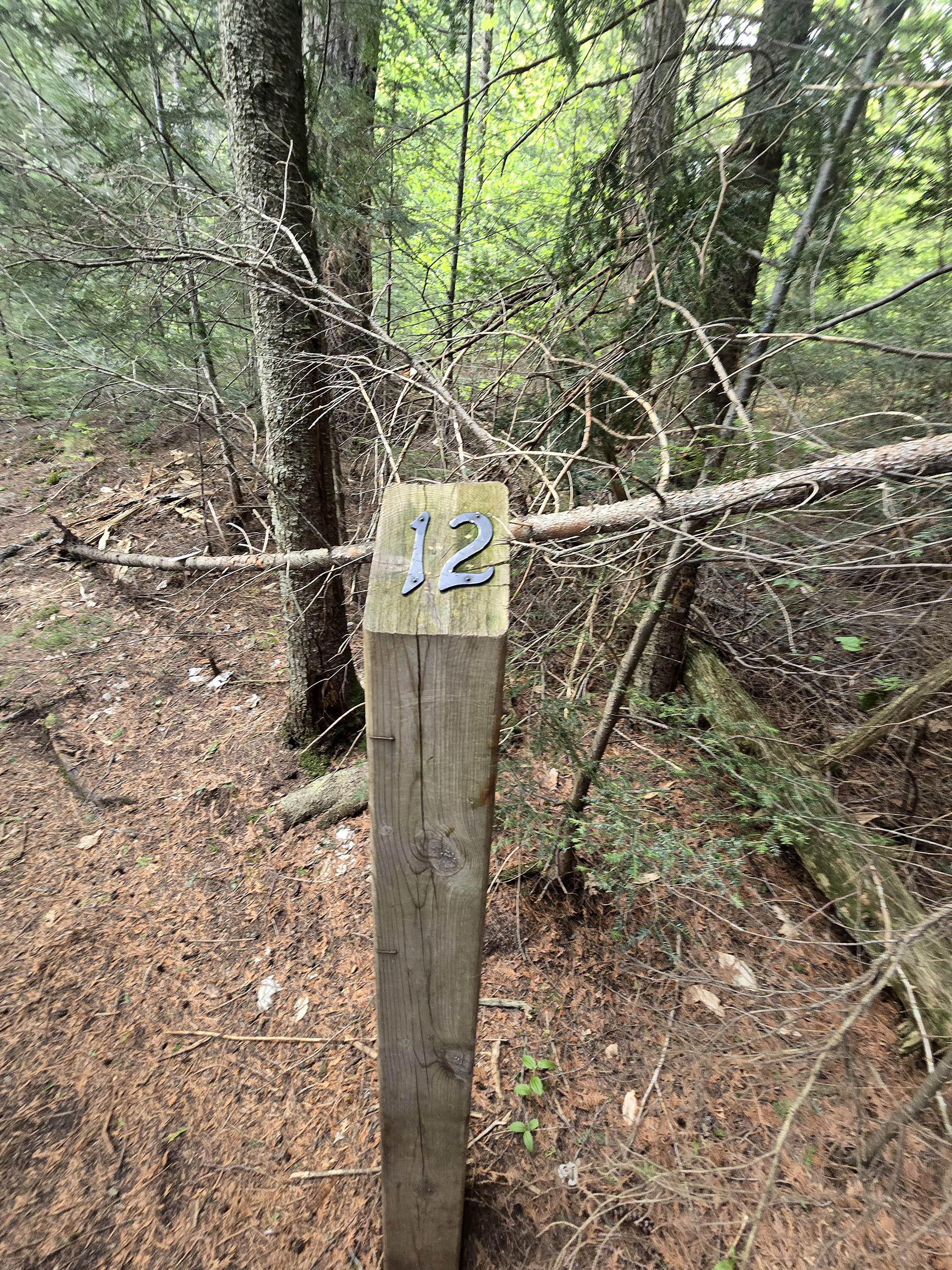 A sign post numbered 12.