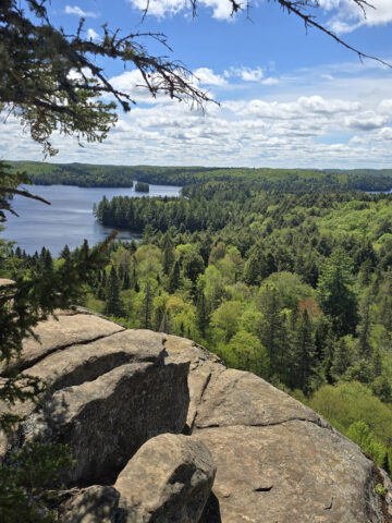 A view over a cliff from the track and tower trail.