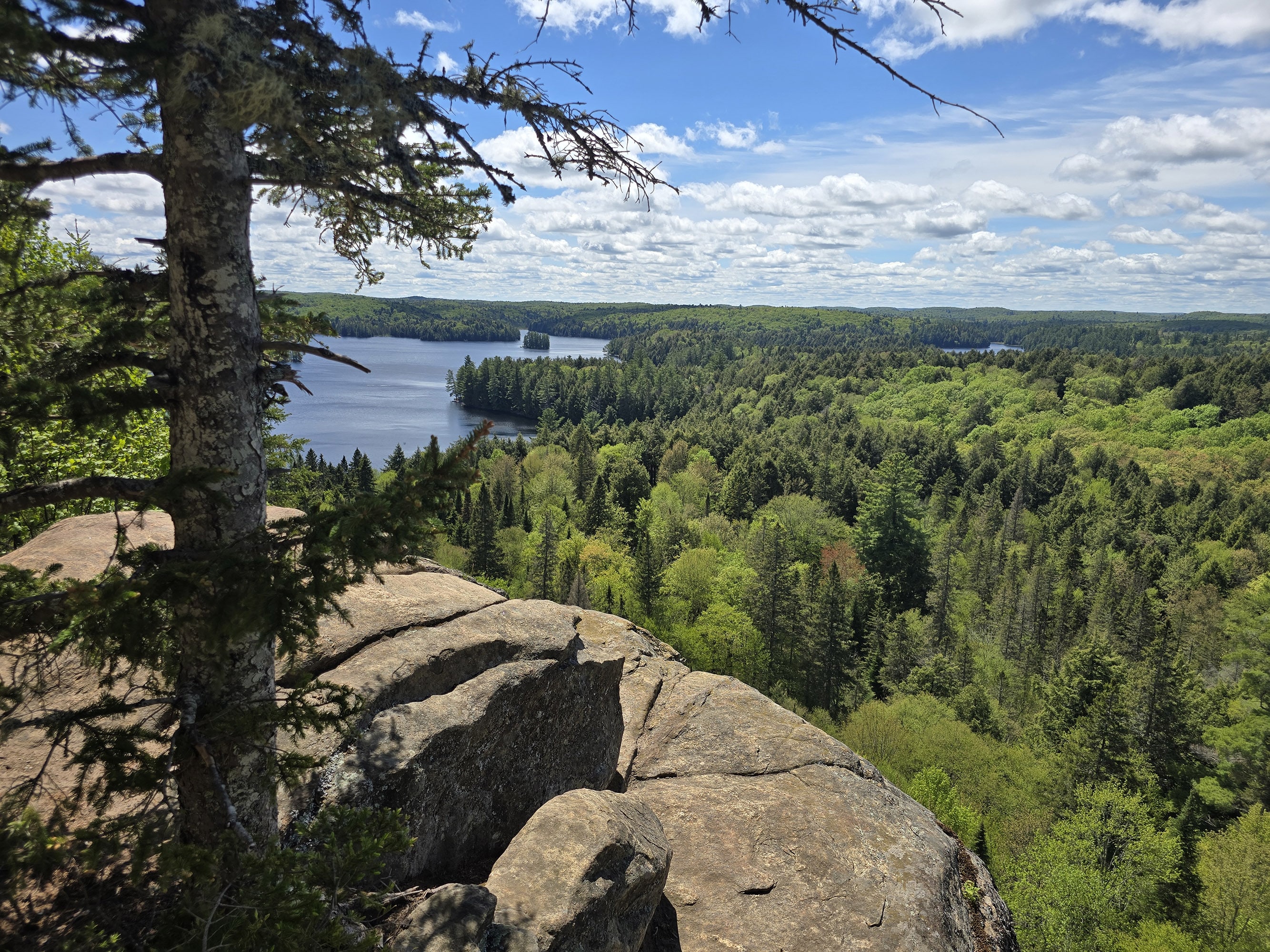 A view over a cliff from the track and tower trail.