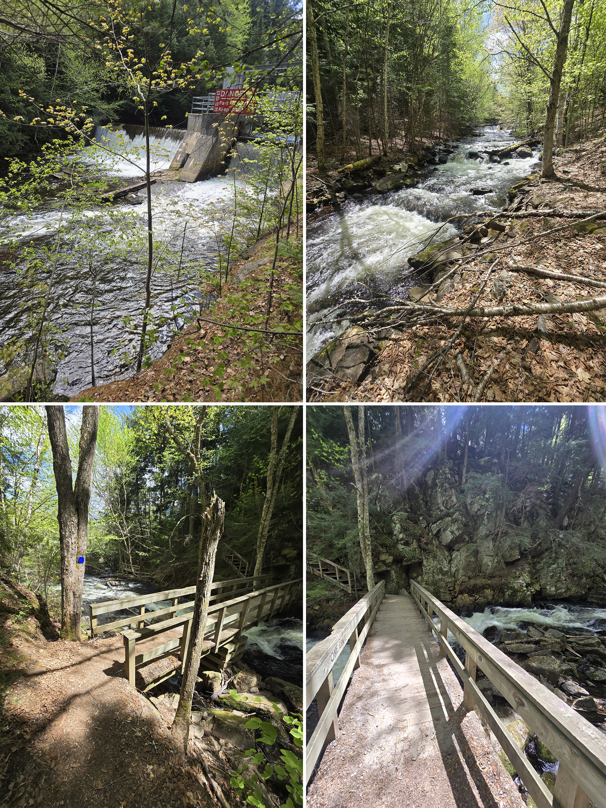 4 part image showing various views along the track and tower trail at Algonquin Provincial Park.