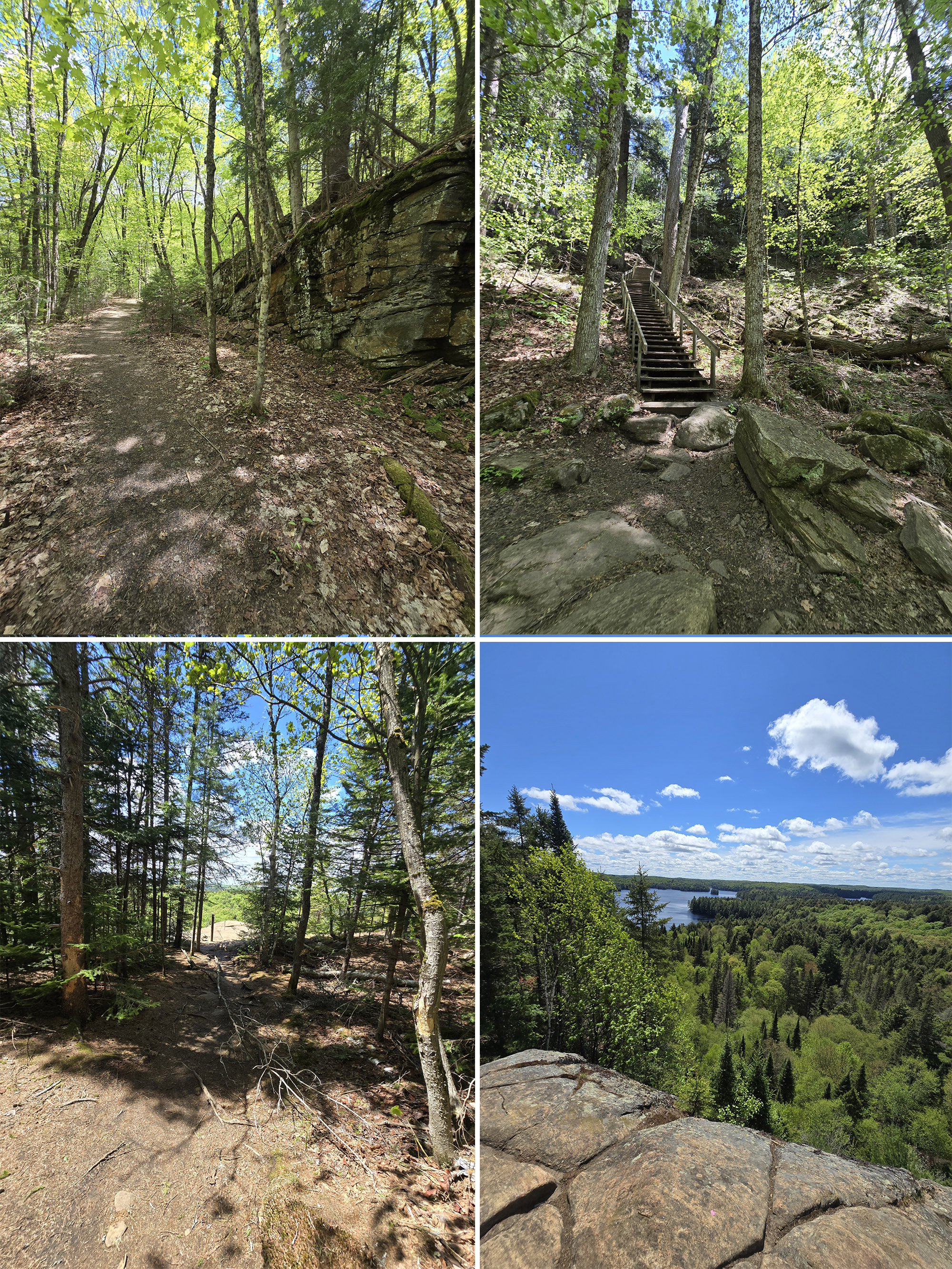 4 part image showing various views along the track and tower trail at Algonquin Provincial Park.