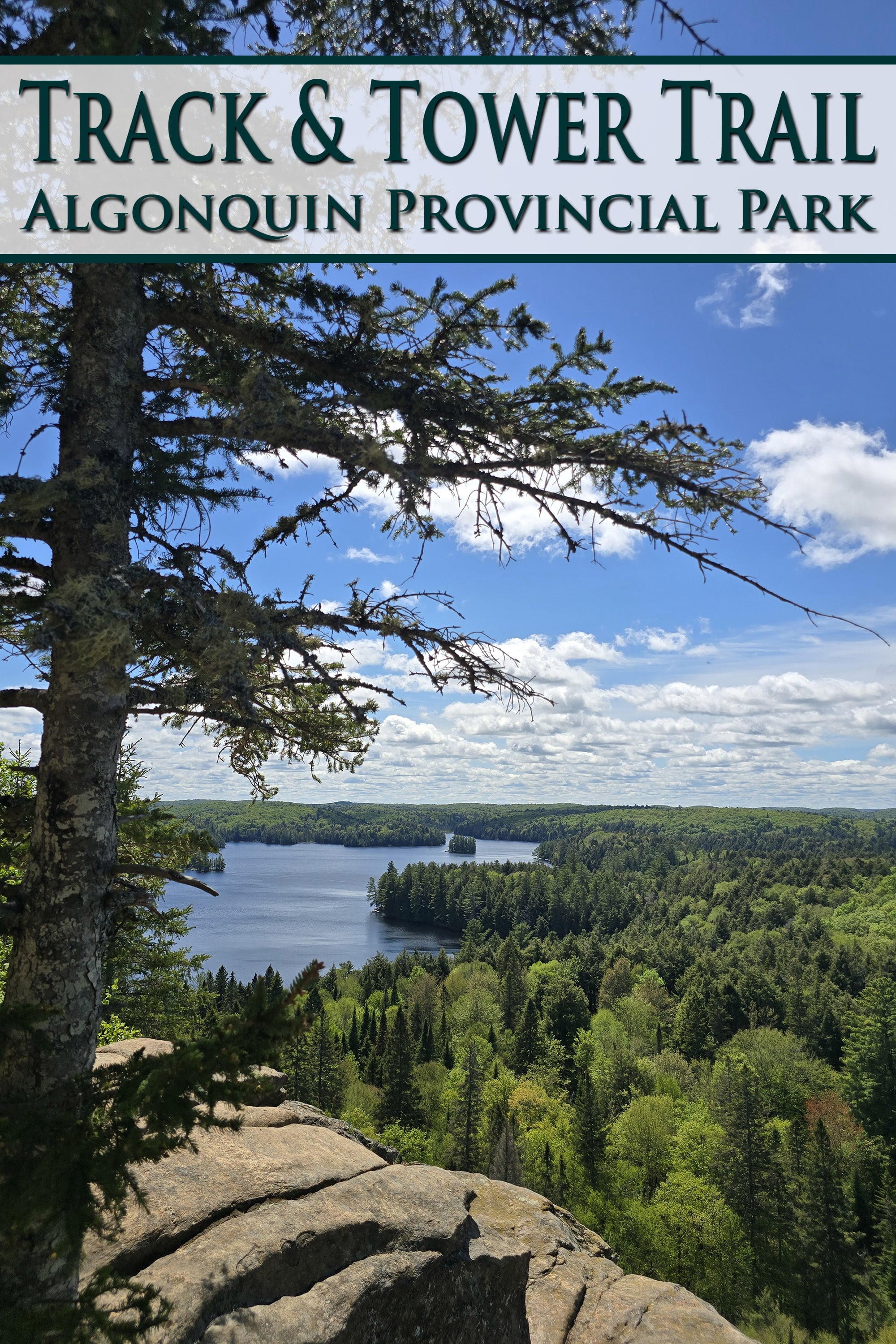 A view over the cliff on the track and tower trail. Overlaid text says Track and tower trail, algonquin provincial park.