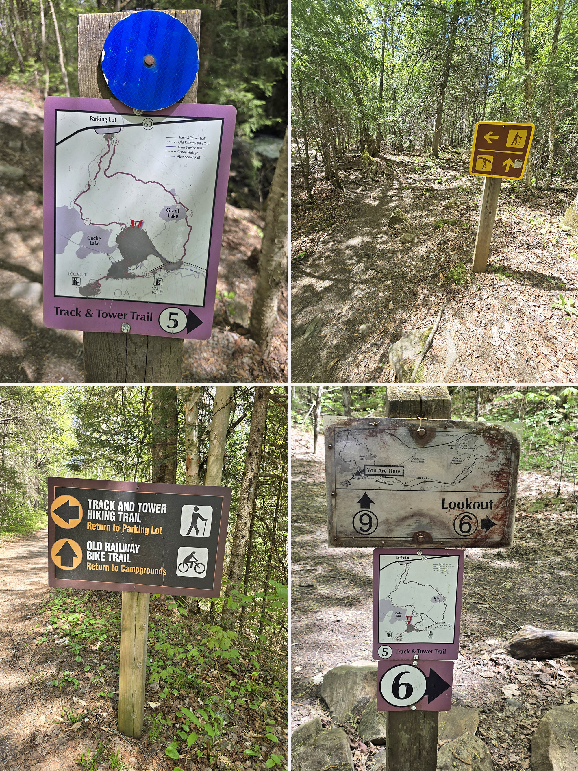 4 part image showing trail signage for the Track and Tower Trail in Algonquin Provincial Park.