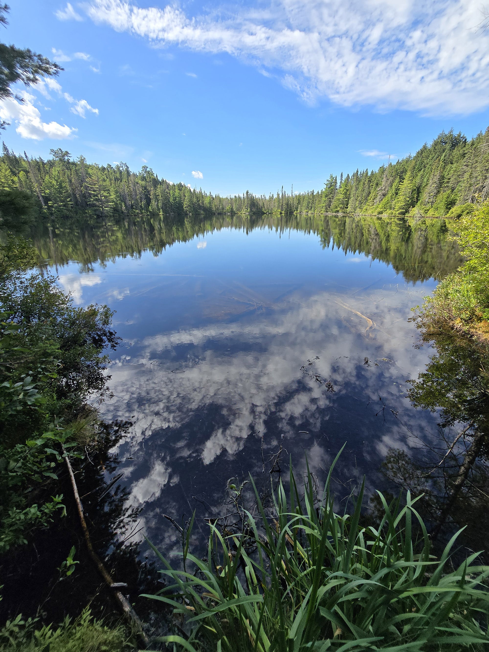 A scenic view along the Booth’s Rock Trail in Algonquin Provincial Park.
