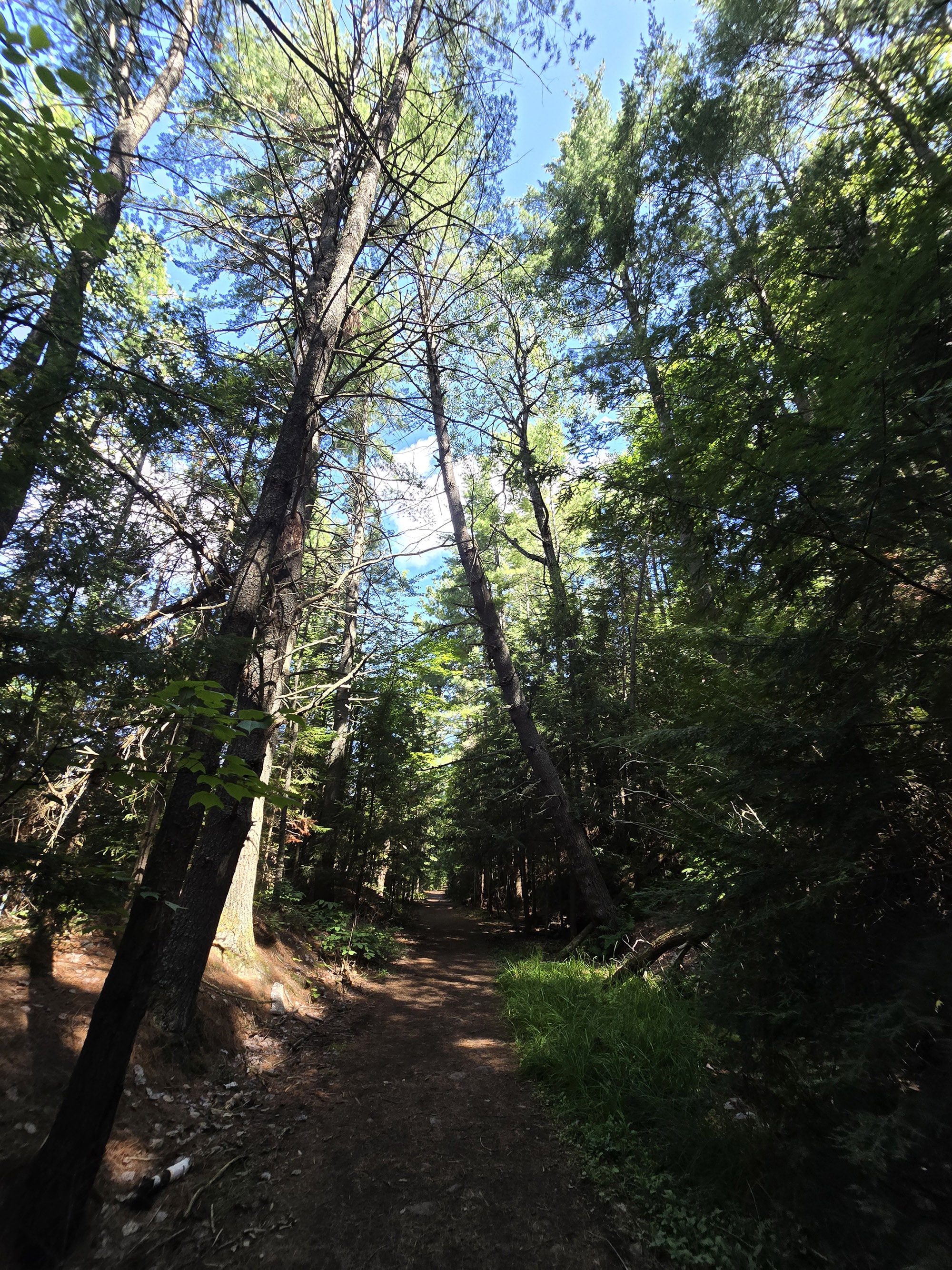 A scenic view along the Booth’s Rock Trail in Algonquin Provincial Park.