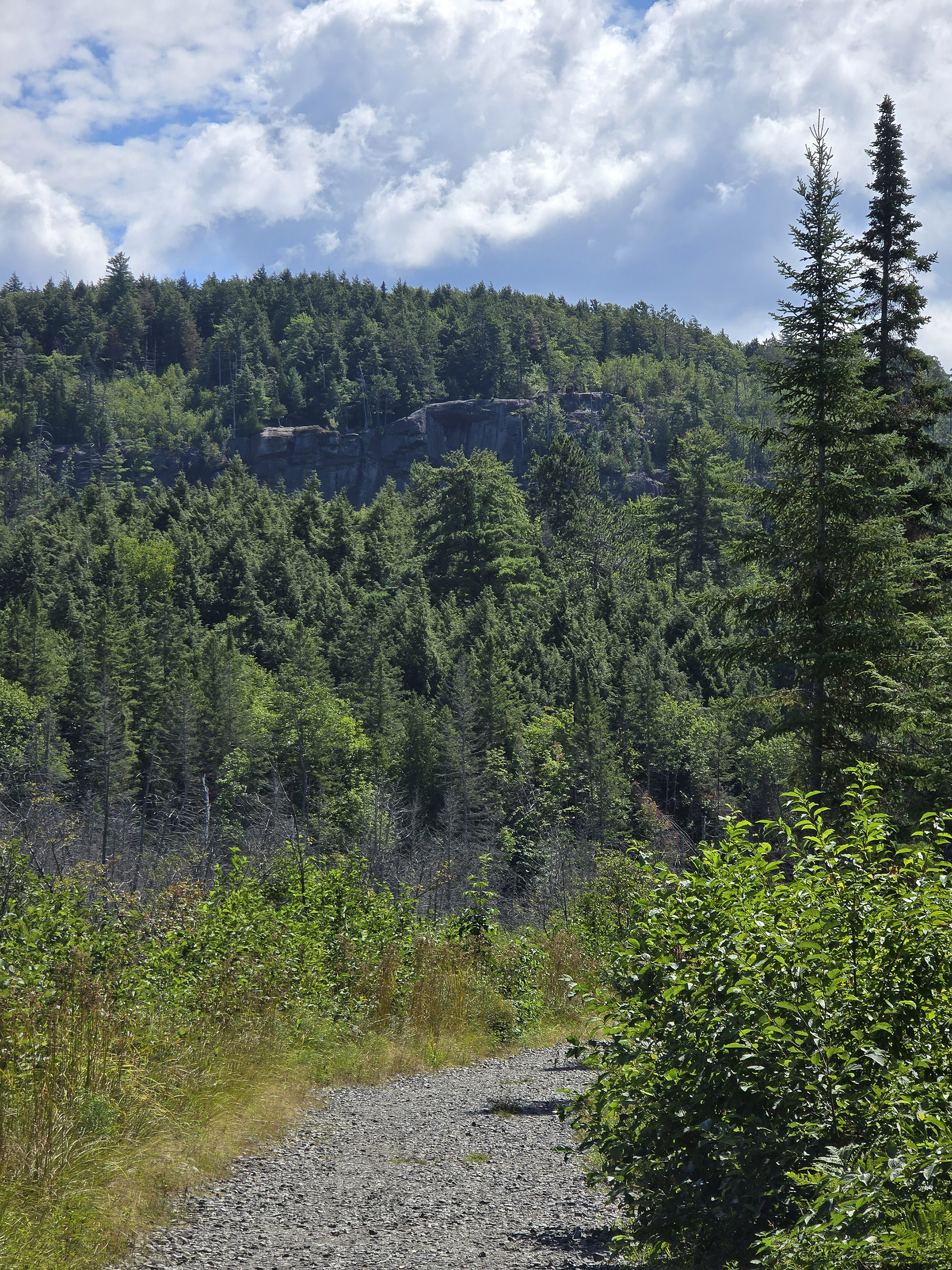 A scenic view along the Booth’s Rock Trail in Algonquin Provincial Park.
