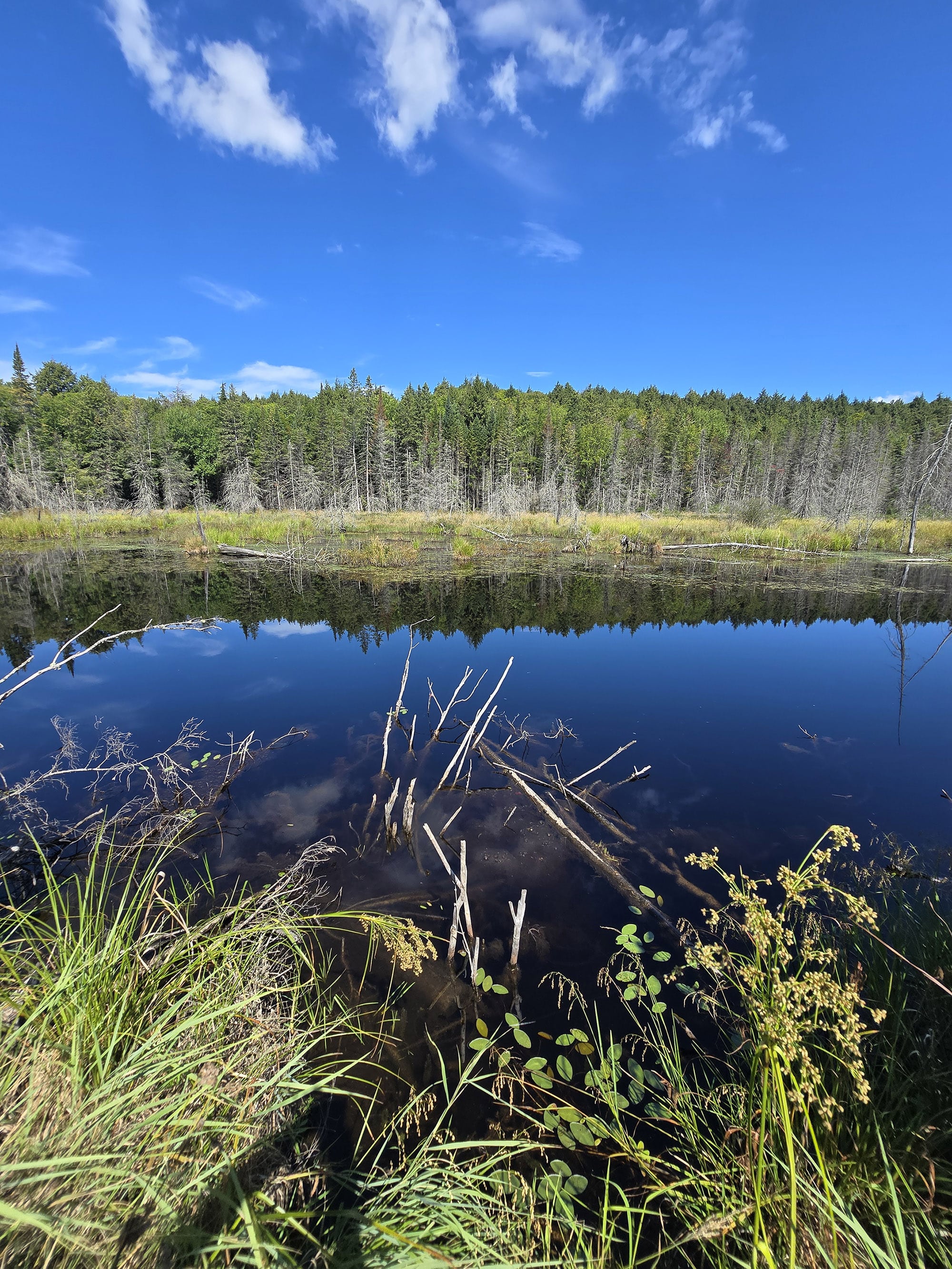 A scenic view along the Booth’s Rock Trail in Algonquin Provincial Park.