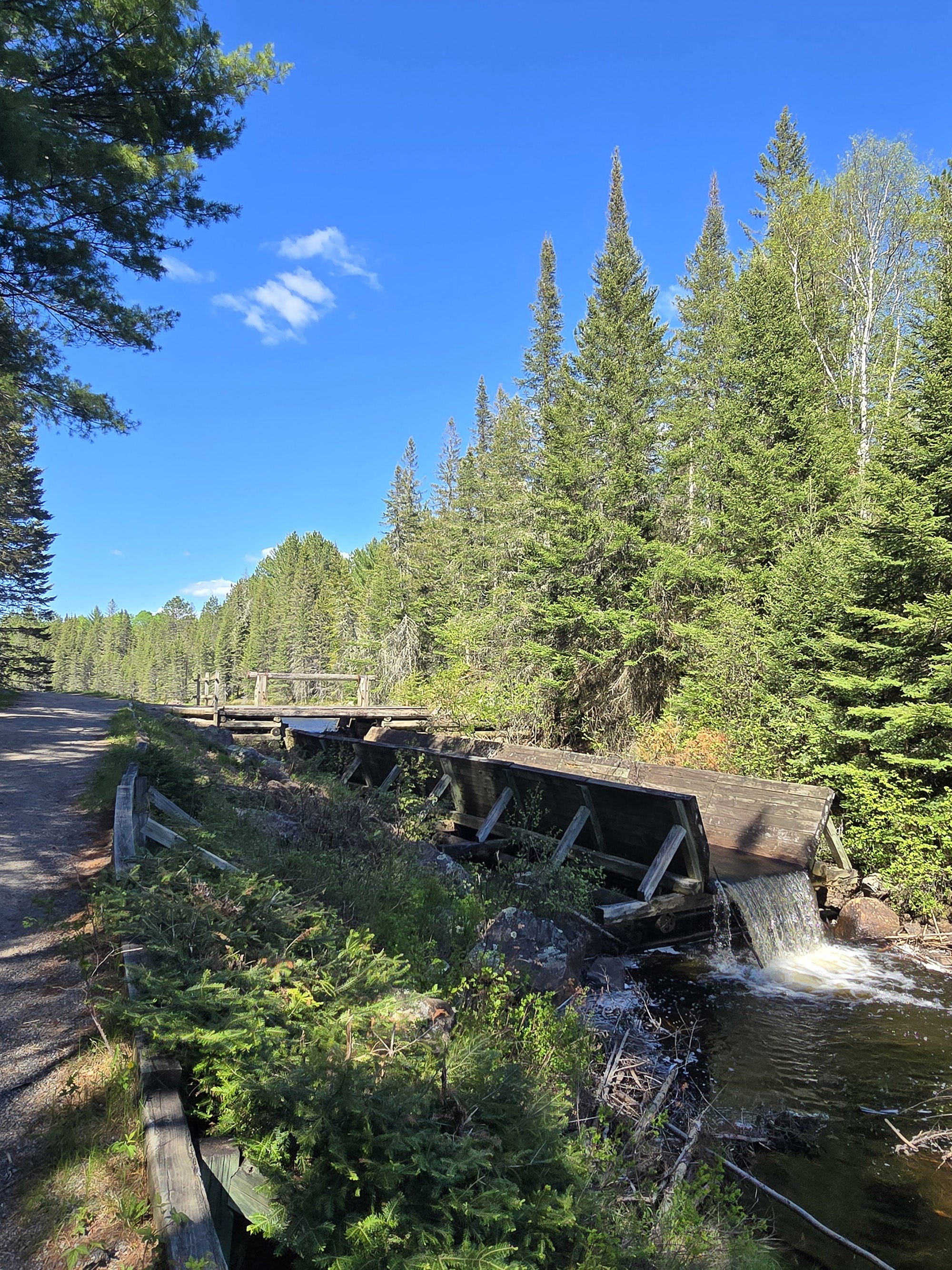 A scenic view along the outdoor exhibit trail in Algonquin Provincial Park.