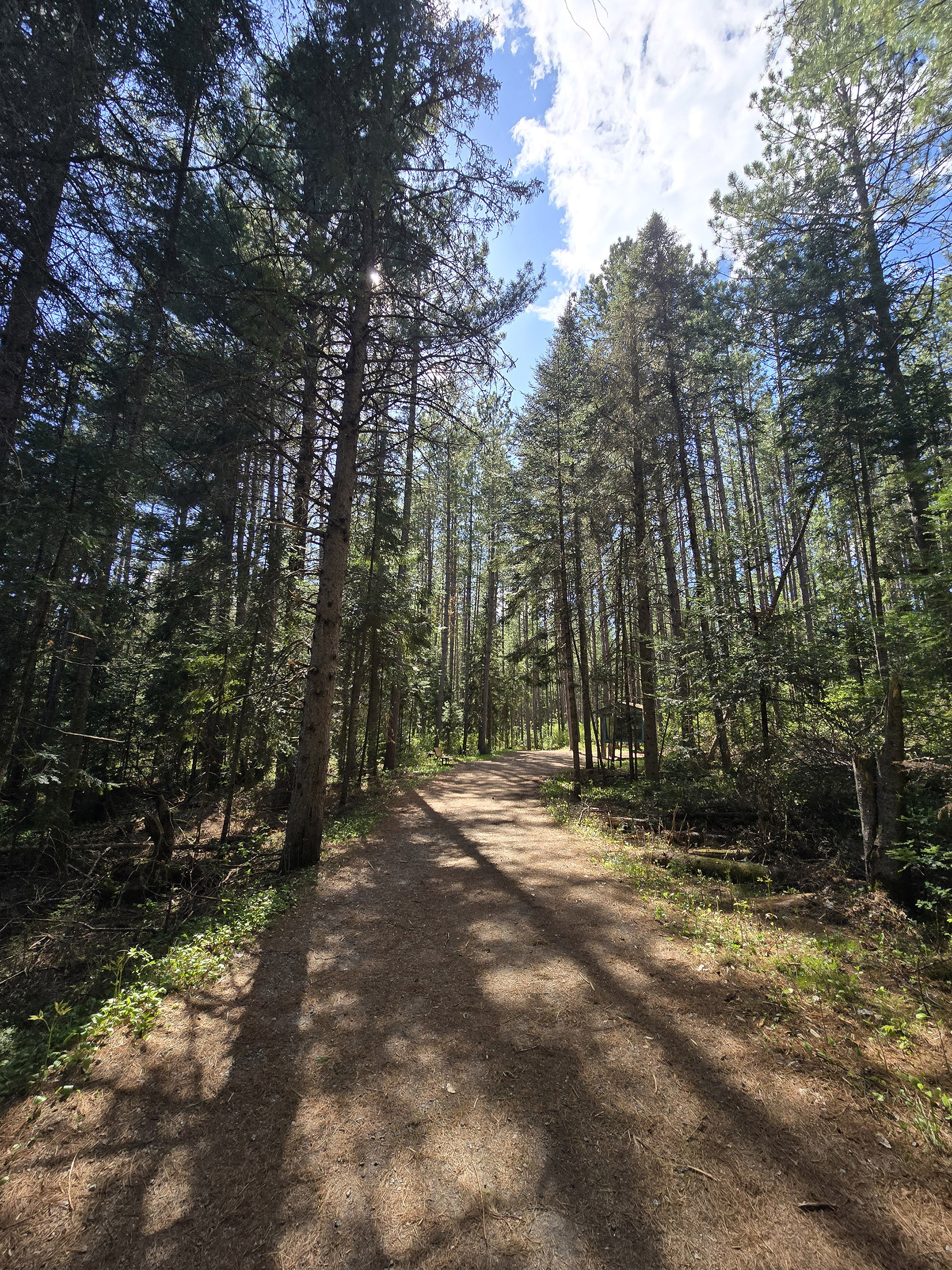 A scenic view along the outdoor exhibit trail in Algonquin Provincial Park.