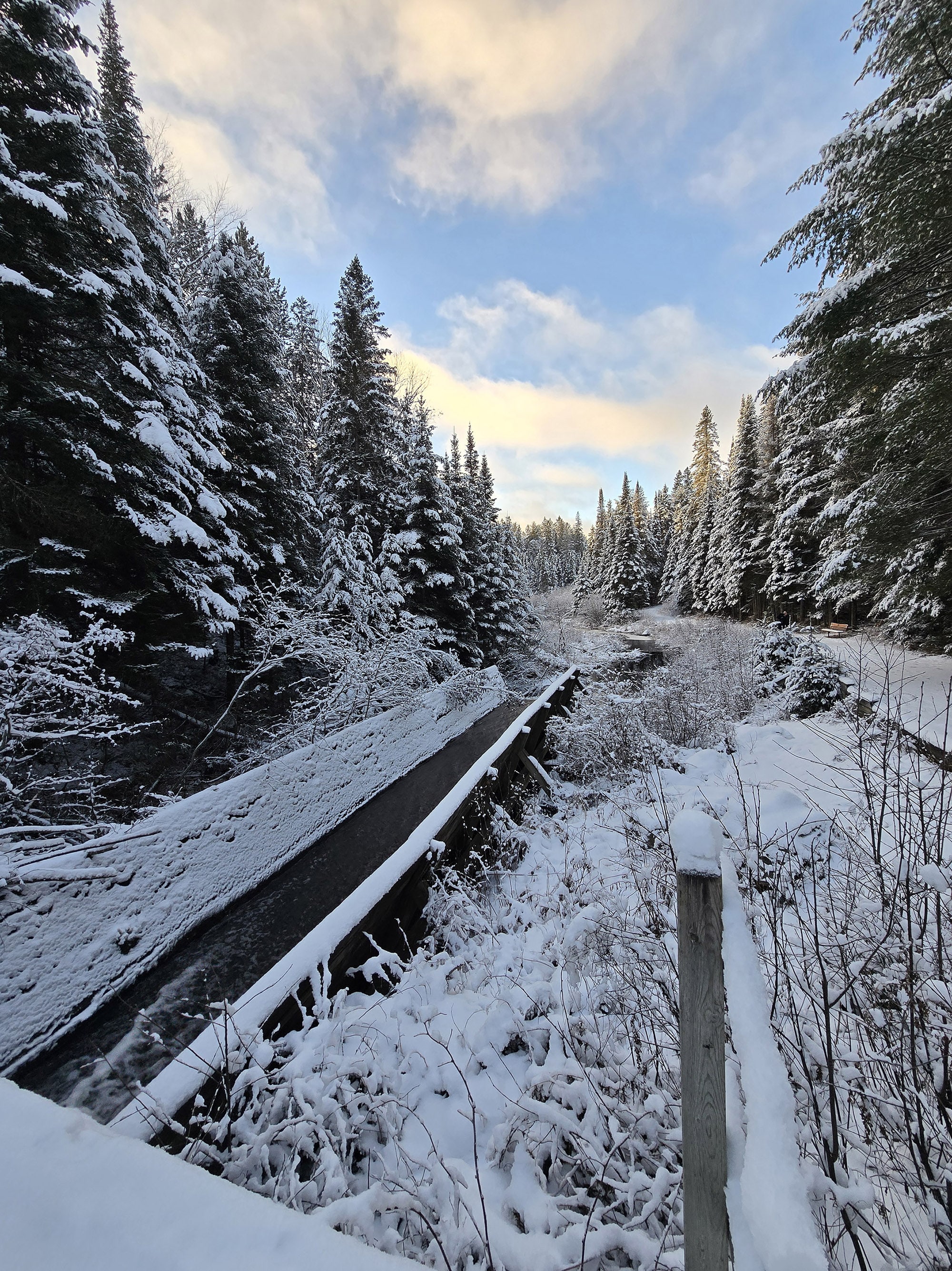 A scenic view along the logging museum trail in Algonquin Provincial Park.