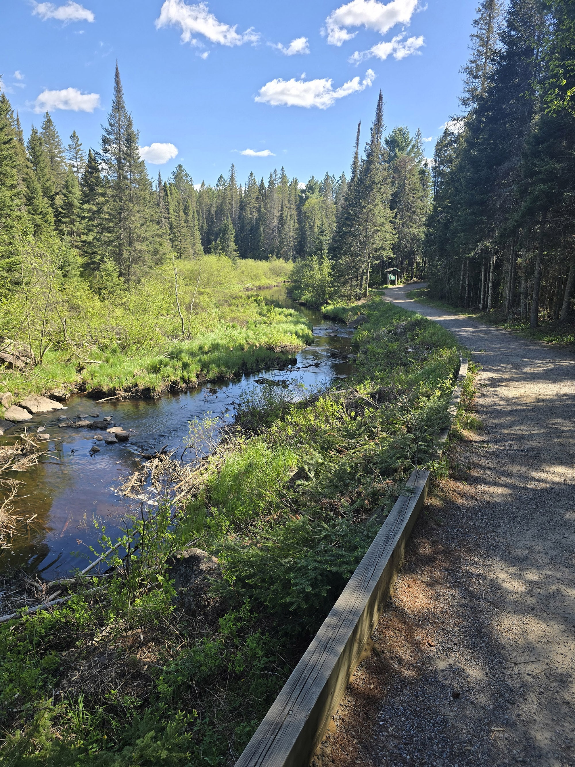 A scenic view along the outdoor exhibit trail in Algonquin Provincial Park.