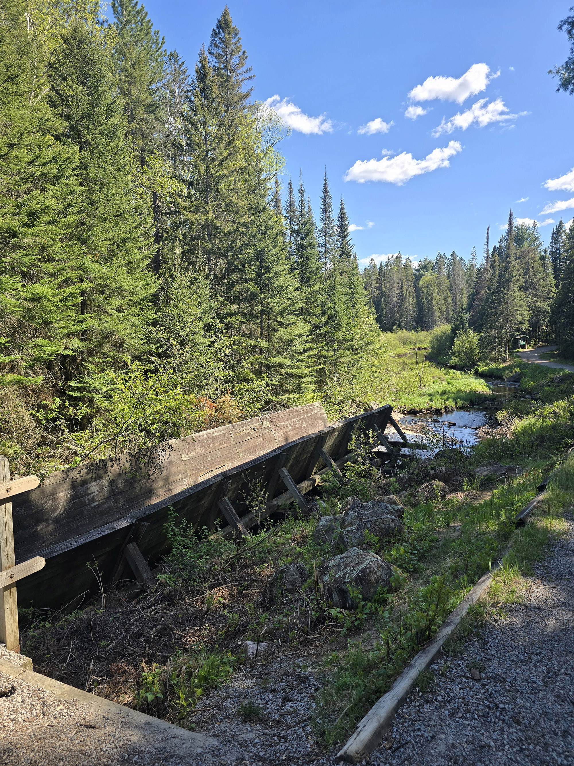A scenic view along the logging museum trail in Algonquin Provincial Park.