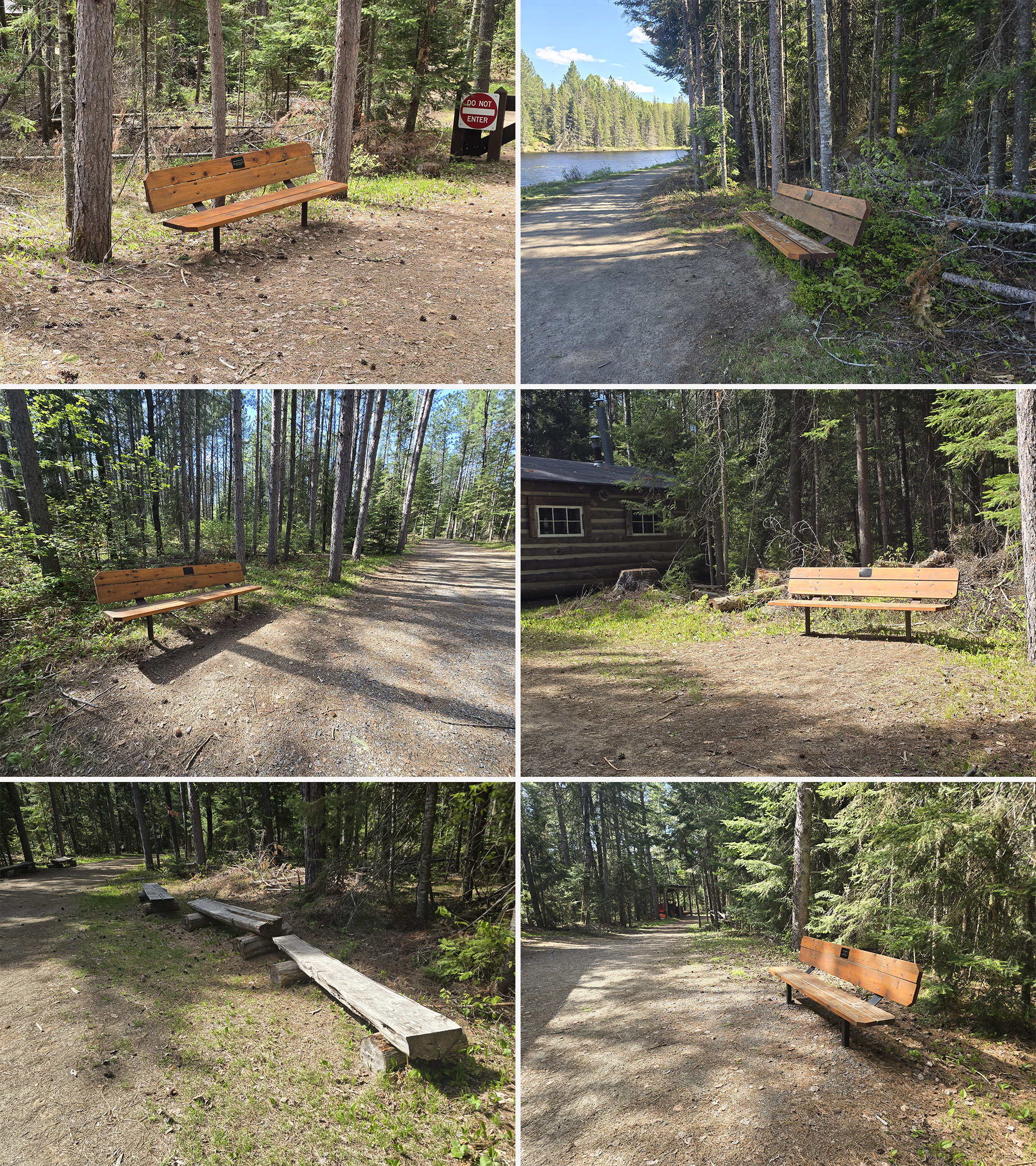 6 part image showing various benches along the logging museum trail.