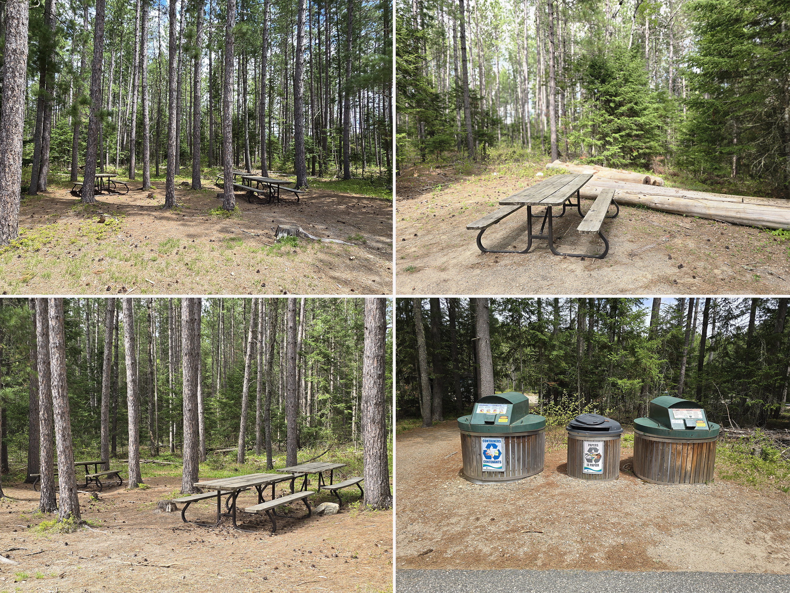4 part image showing picnic areas at the Logging Museum Trail.