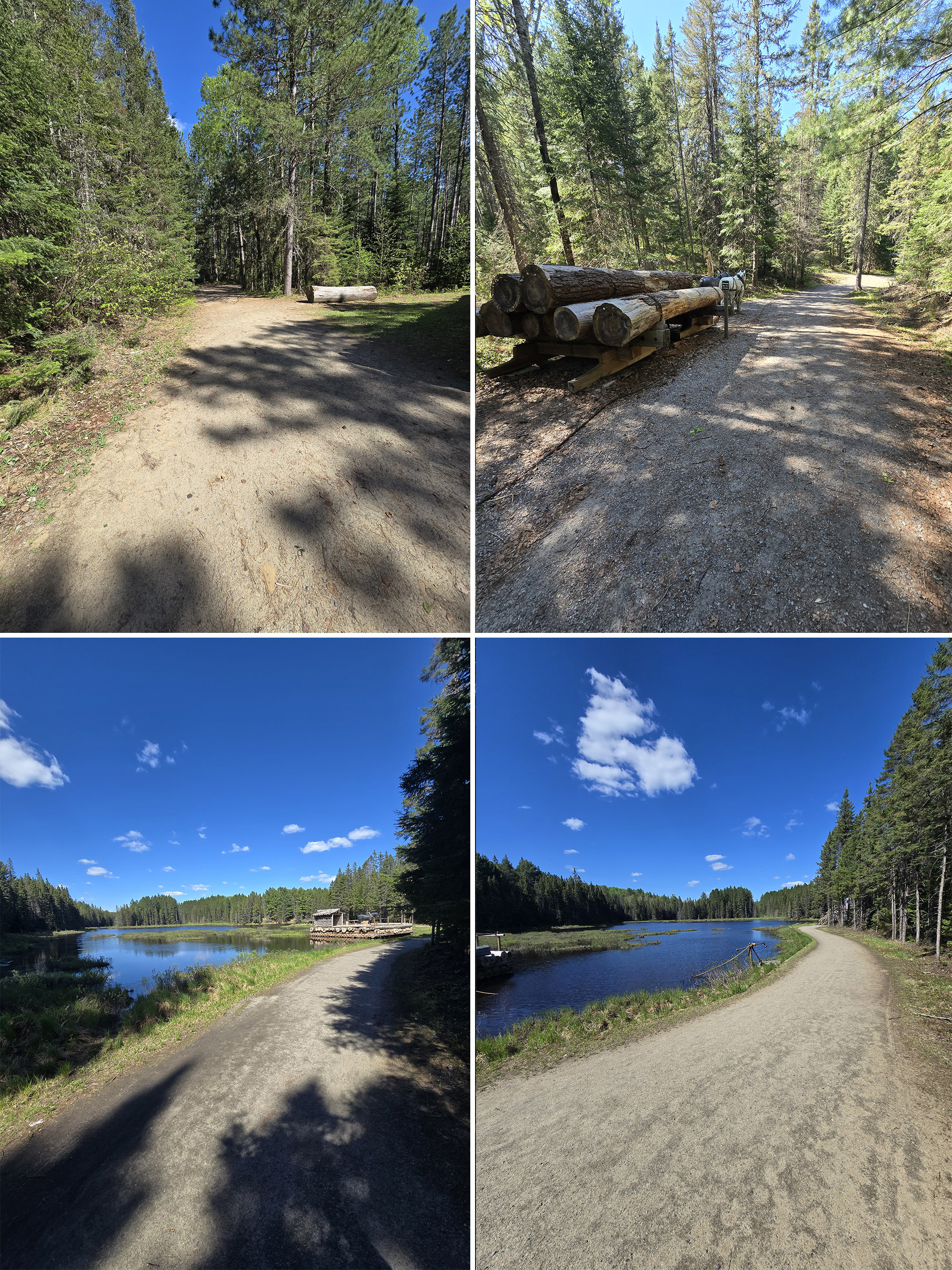 4 part image showing various views along the Algonquin Provincial Park Logging Museum Trail.