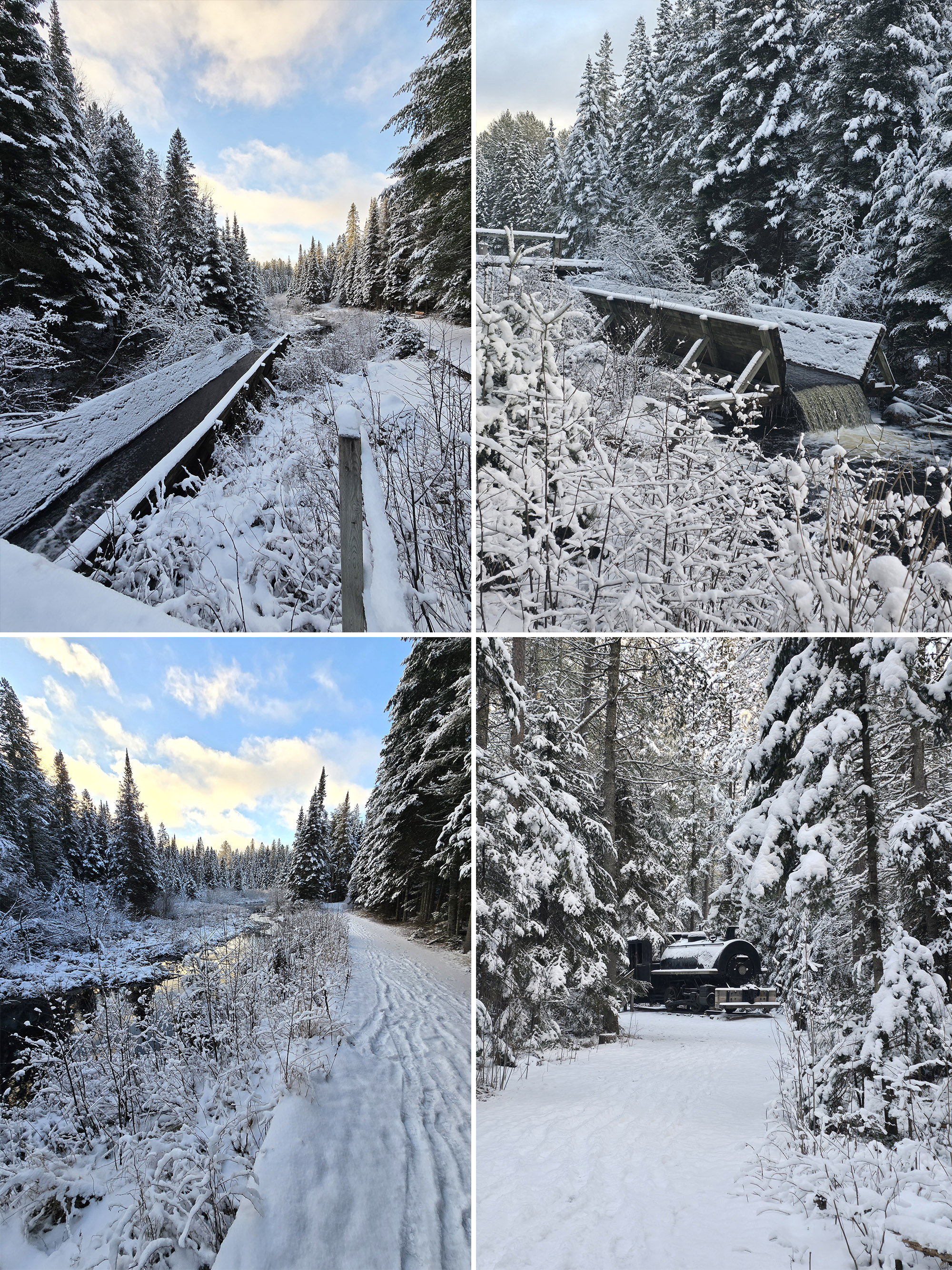 4 part image showing various views along the Algonquin Provincial Park Logging Museum Trail in winter.
