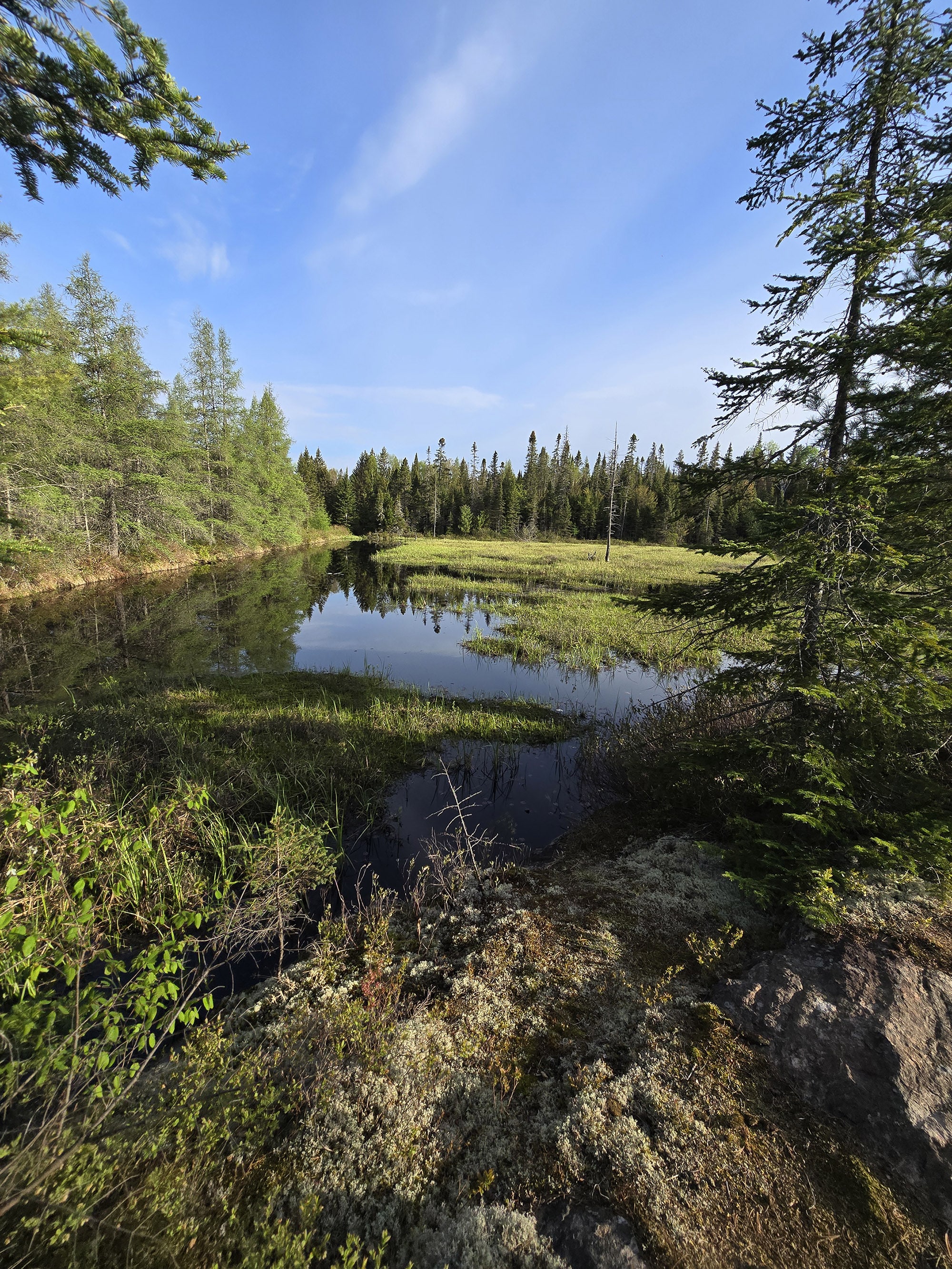 A scenic photo along the Mizzy Lake Hiking Trail in Algonquin Provincial Park.