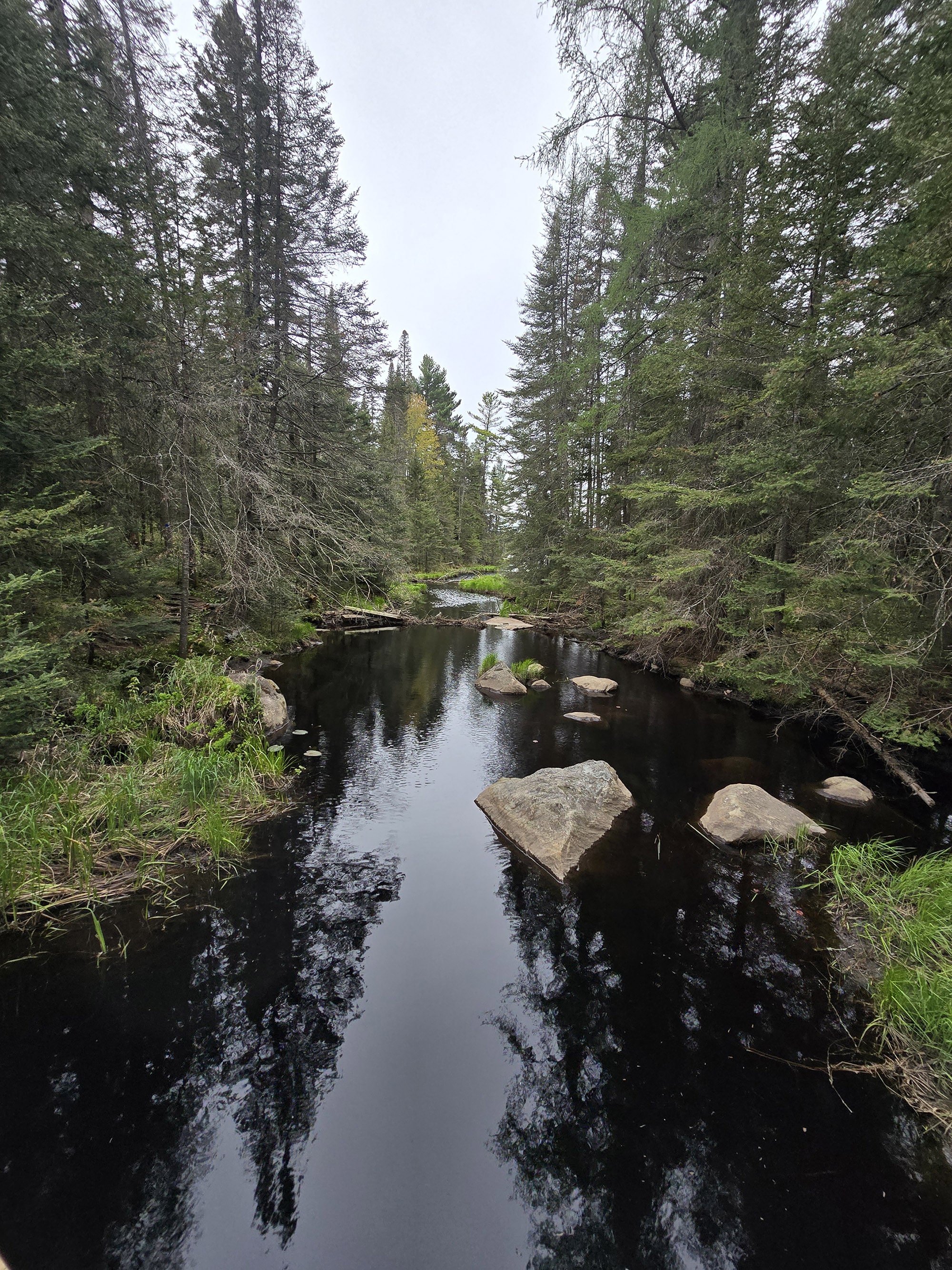 A scenic photo along the Mizzy Lake Trail in Algonquin Provincial Park.