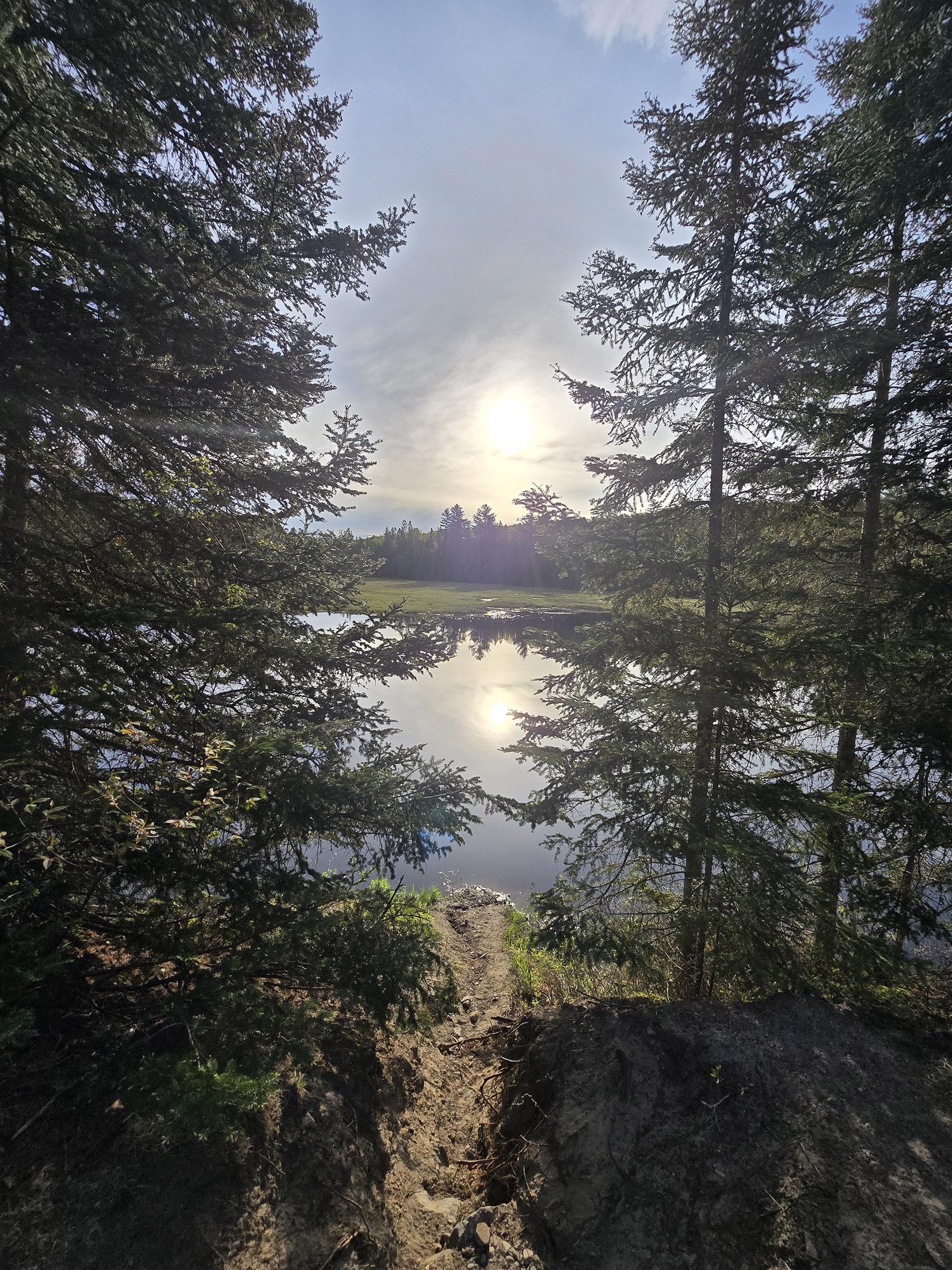 A scenic photo along the Mizzy Lake Hiking Trail in Algonquin Provincial Park.
