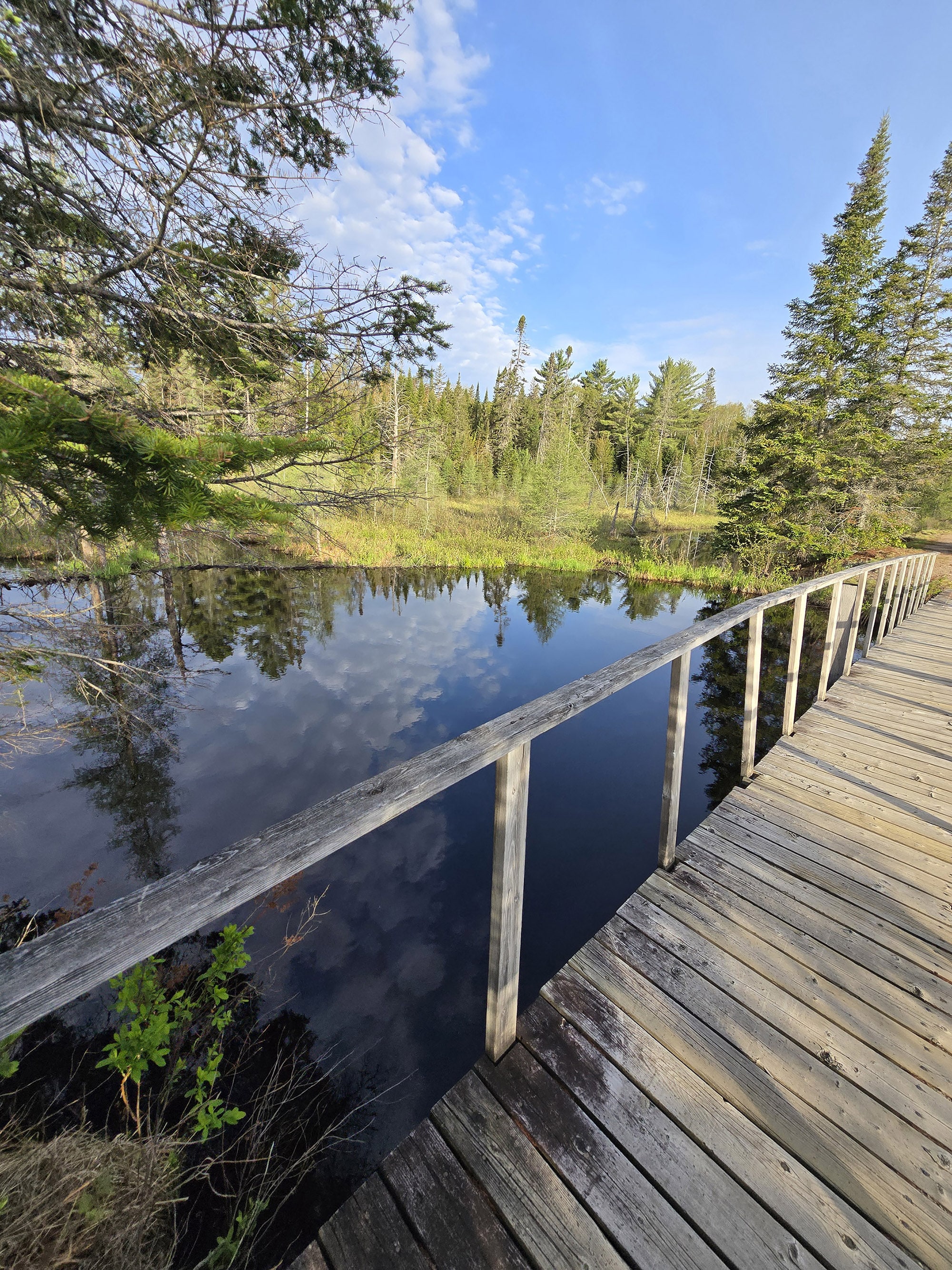 A scenic photo along the Mizzy Lake Trail in Algonquin Provincial Park.