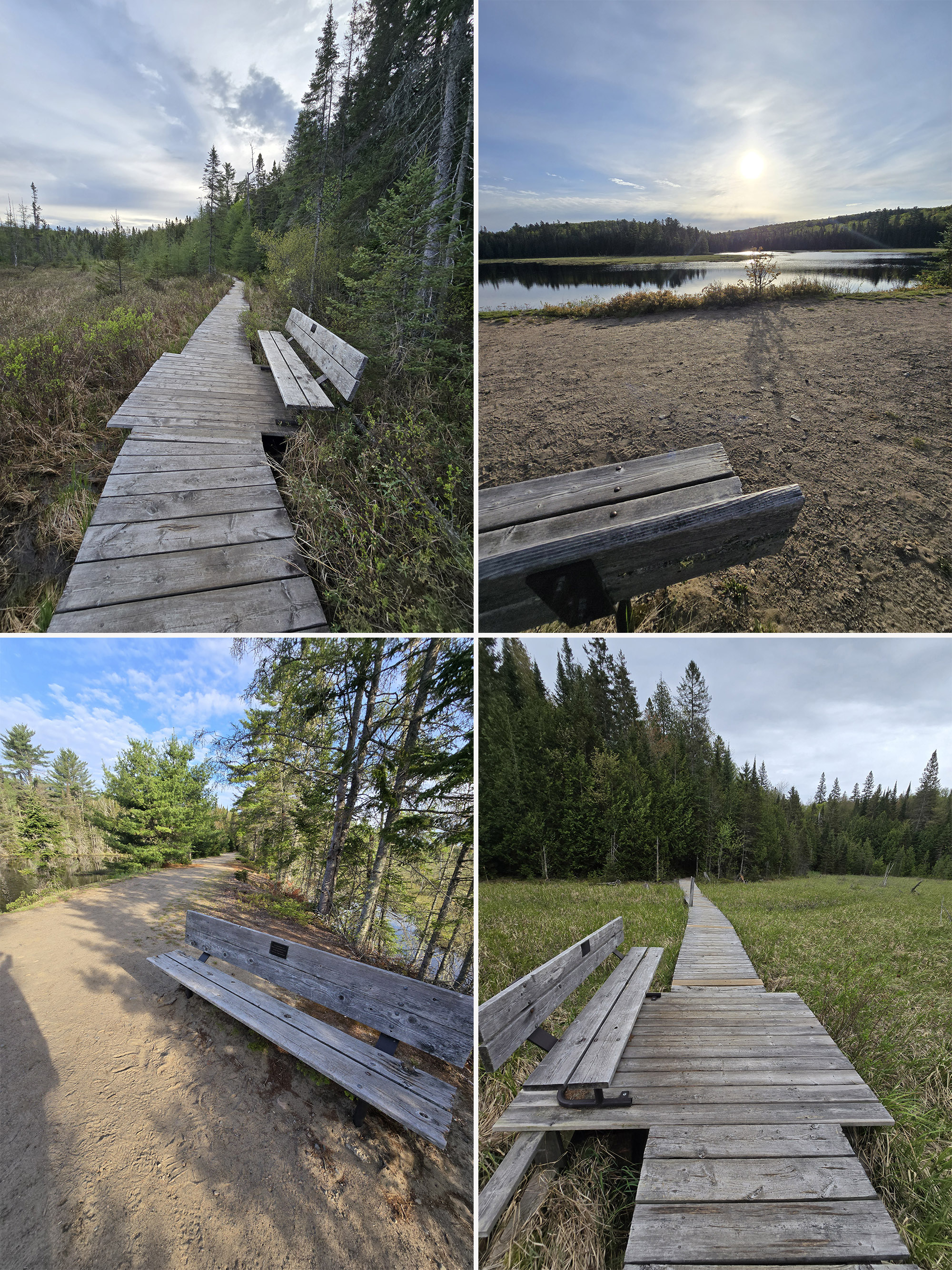 3 part image showing benches along the Mizzy Lake Trail in Algonquin Provincial Park.