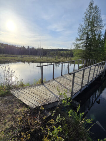 A short bridge over a pond on Mizzy Lake Trail.