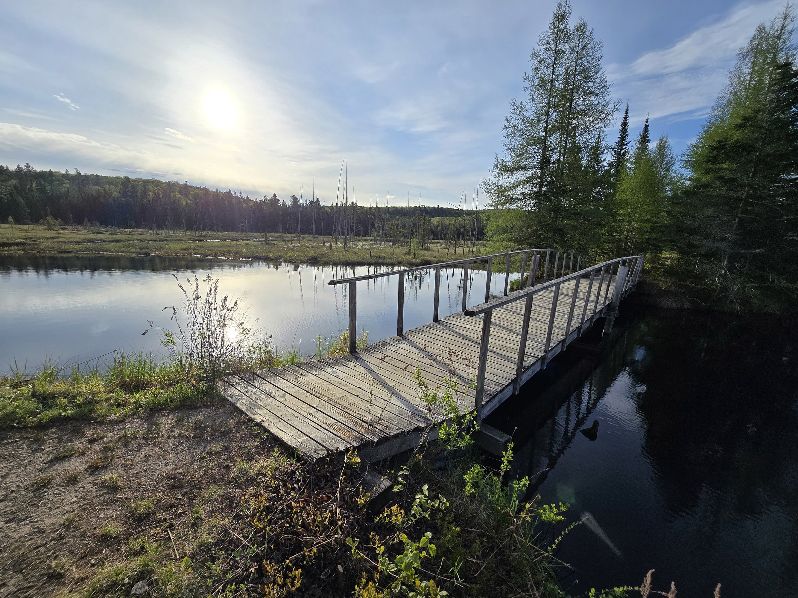 A short bridge over a pond on Mizzy Lake Trail.