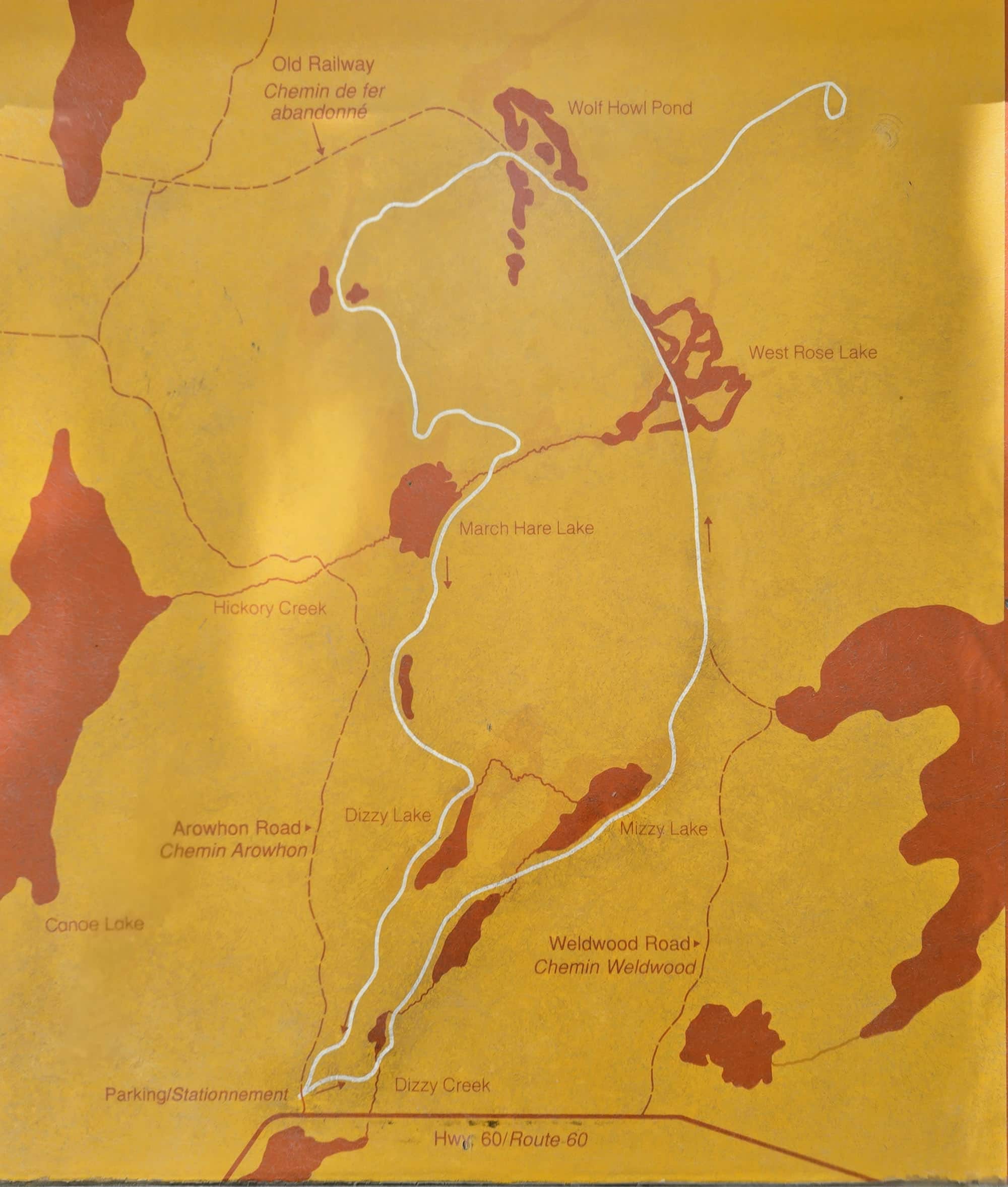 The Mizzy Lake Hiking Trail map.