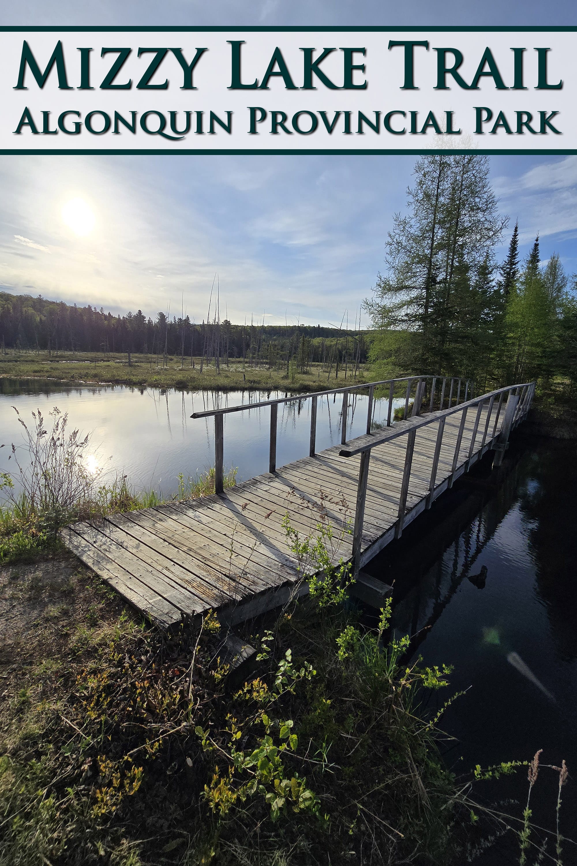 A short bridge over a marsh. Overlaid text says Mizzy Lake Trail Algonquin Provincial Park.