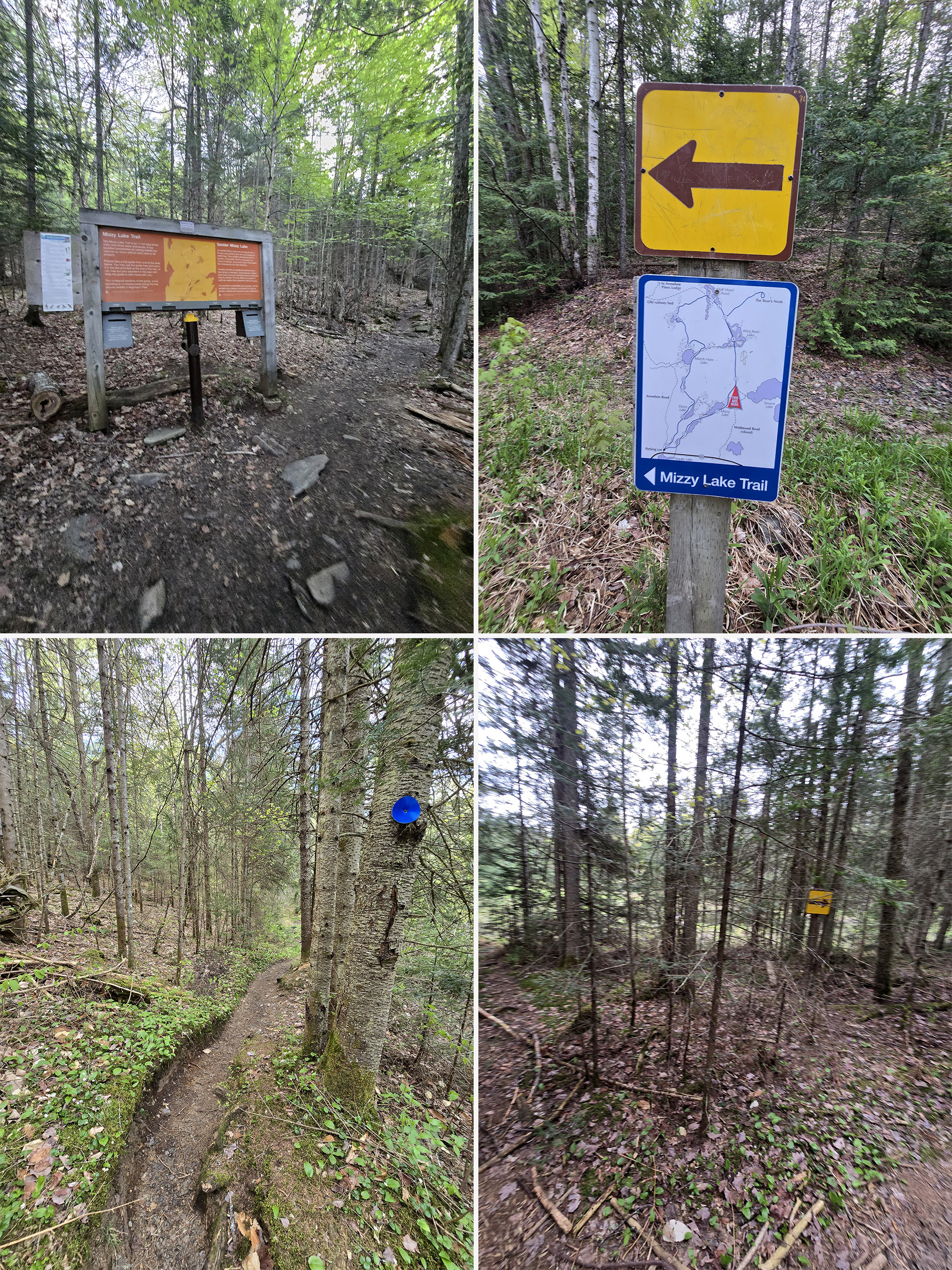 3 part image showing trail signage at the Mizzy Lake Trail in Algonquin Provincial Park.