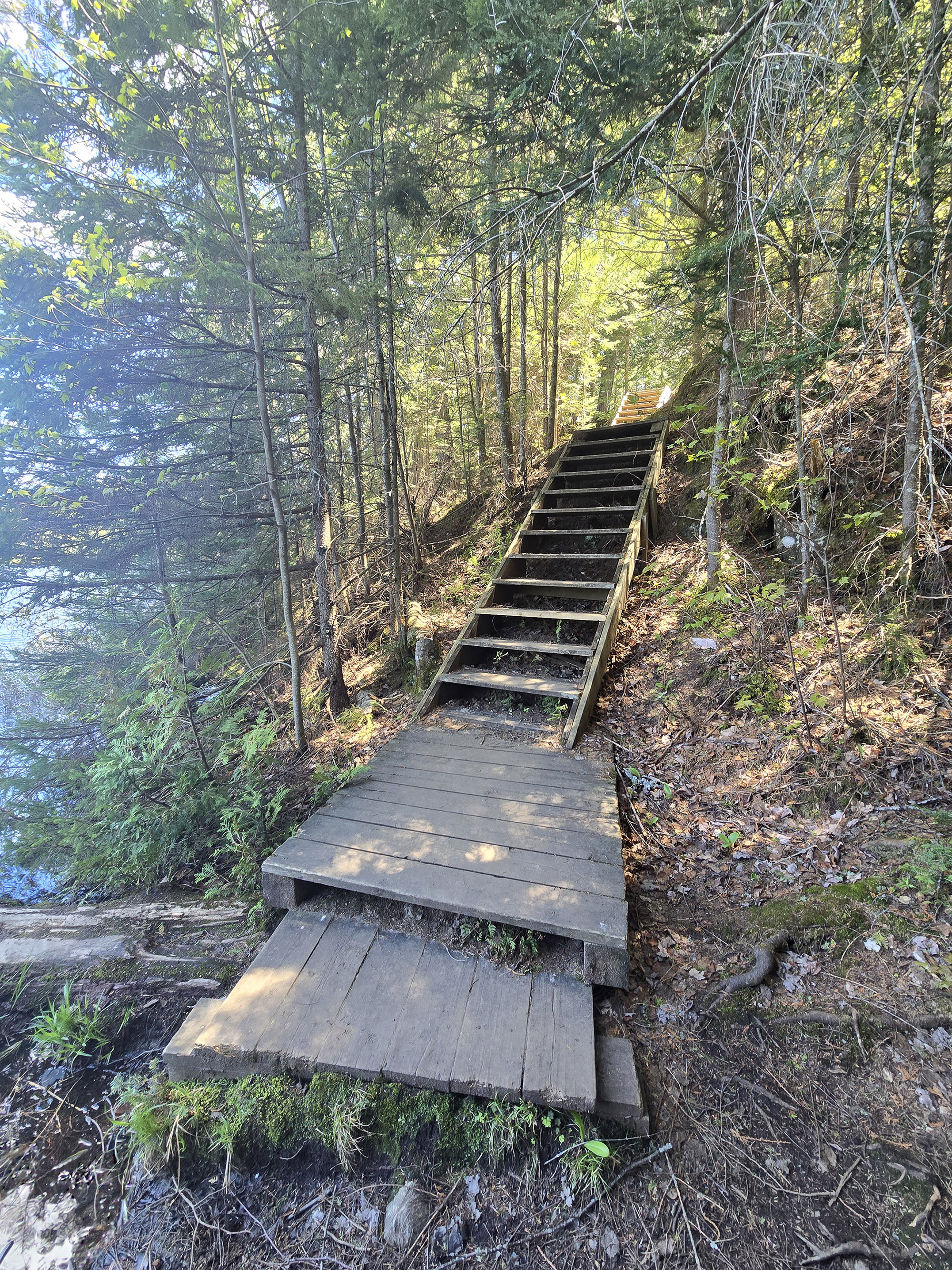 A scenic view along the Peck Lake Hiking Trail in Algonquin Provincial Park.