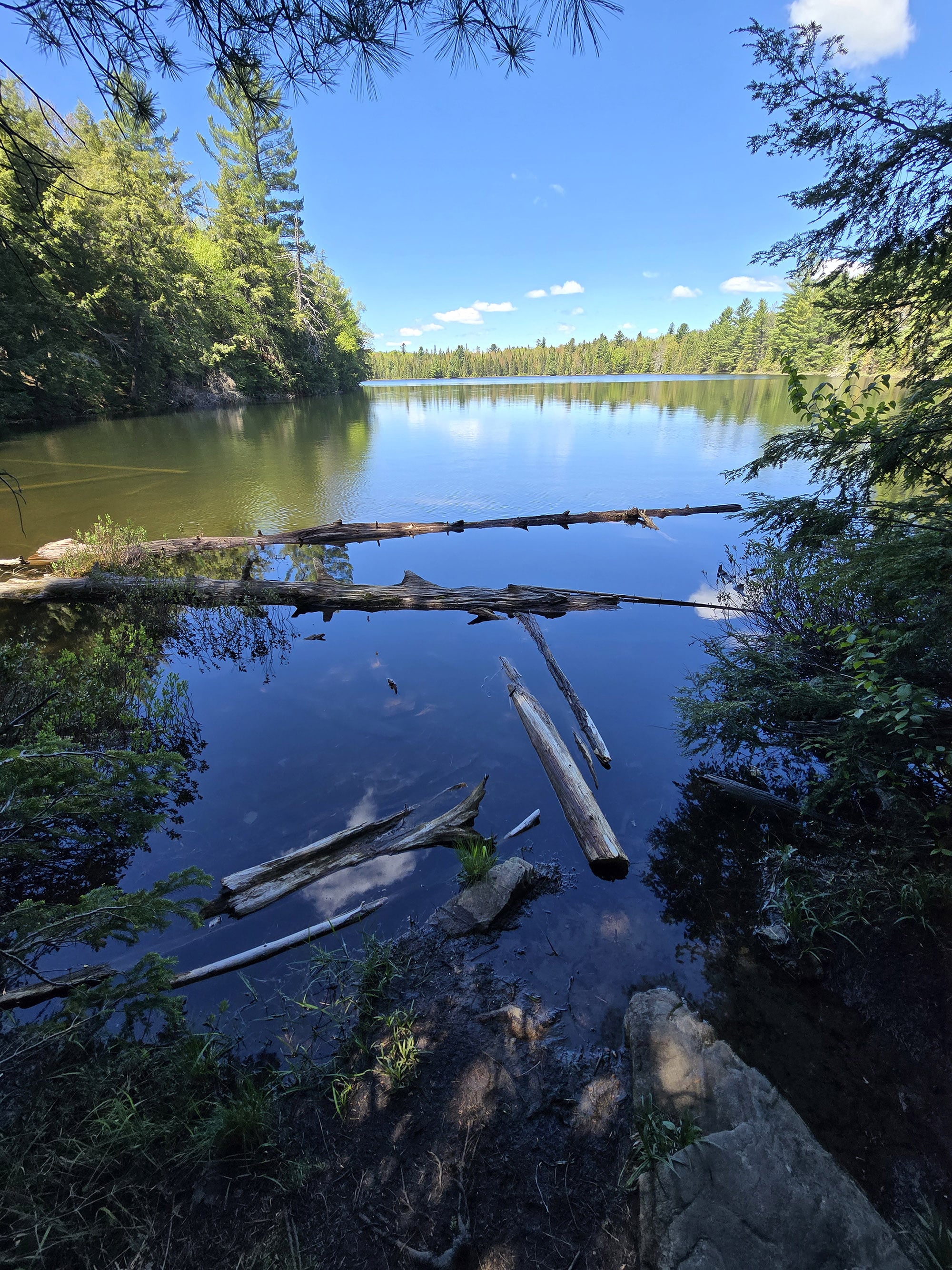 A scenic view along the Peck Lake Trail in Algonquin Provincial Park.