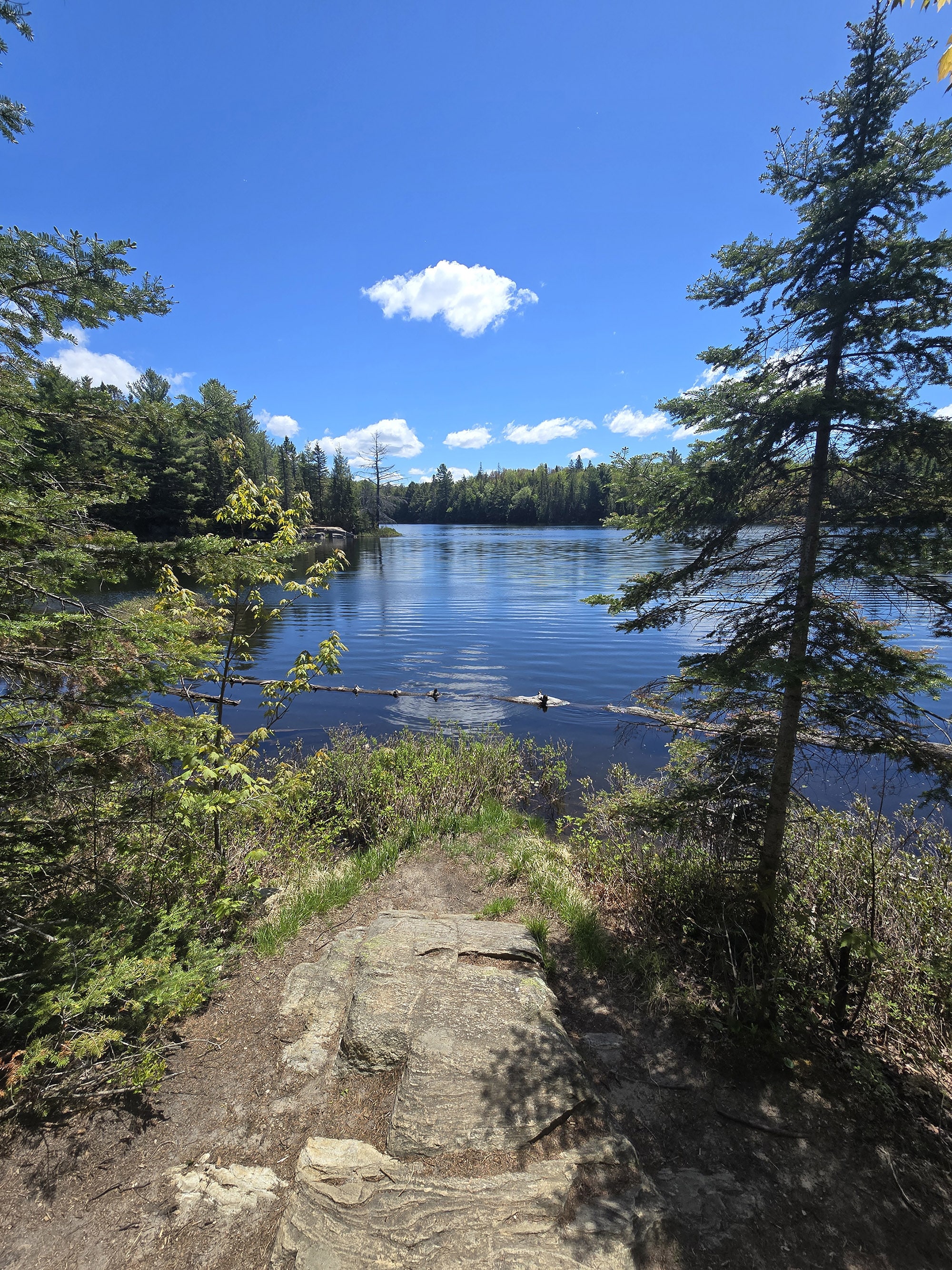A scenic view along the Peck Lake Trail in Algonquin Provincial Park.