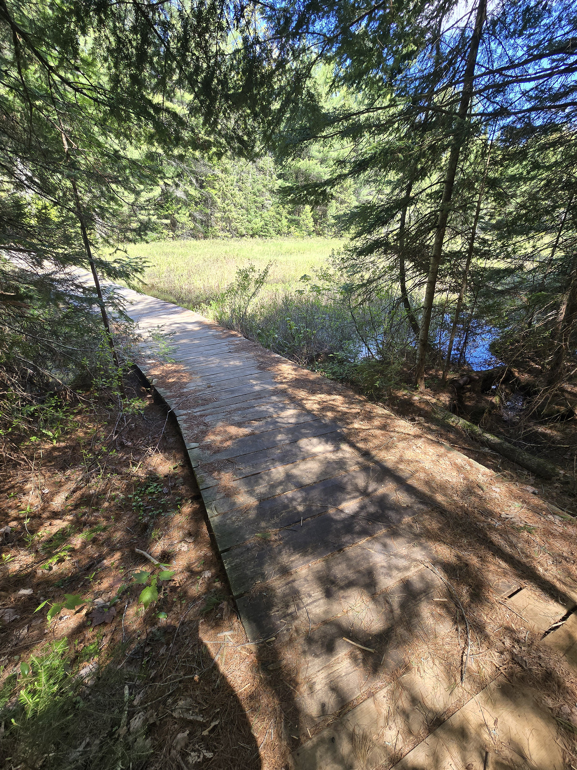 A scenic view along the Peck Lake Hiking Trail in Algonquin Provincial Park.