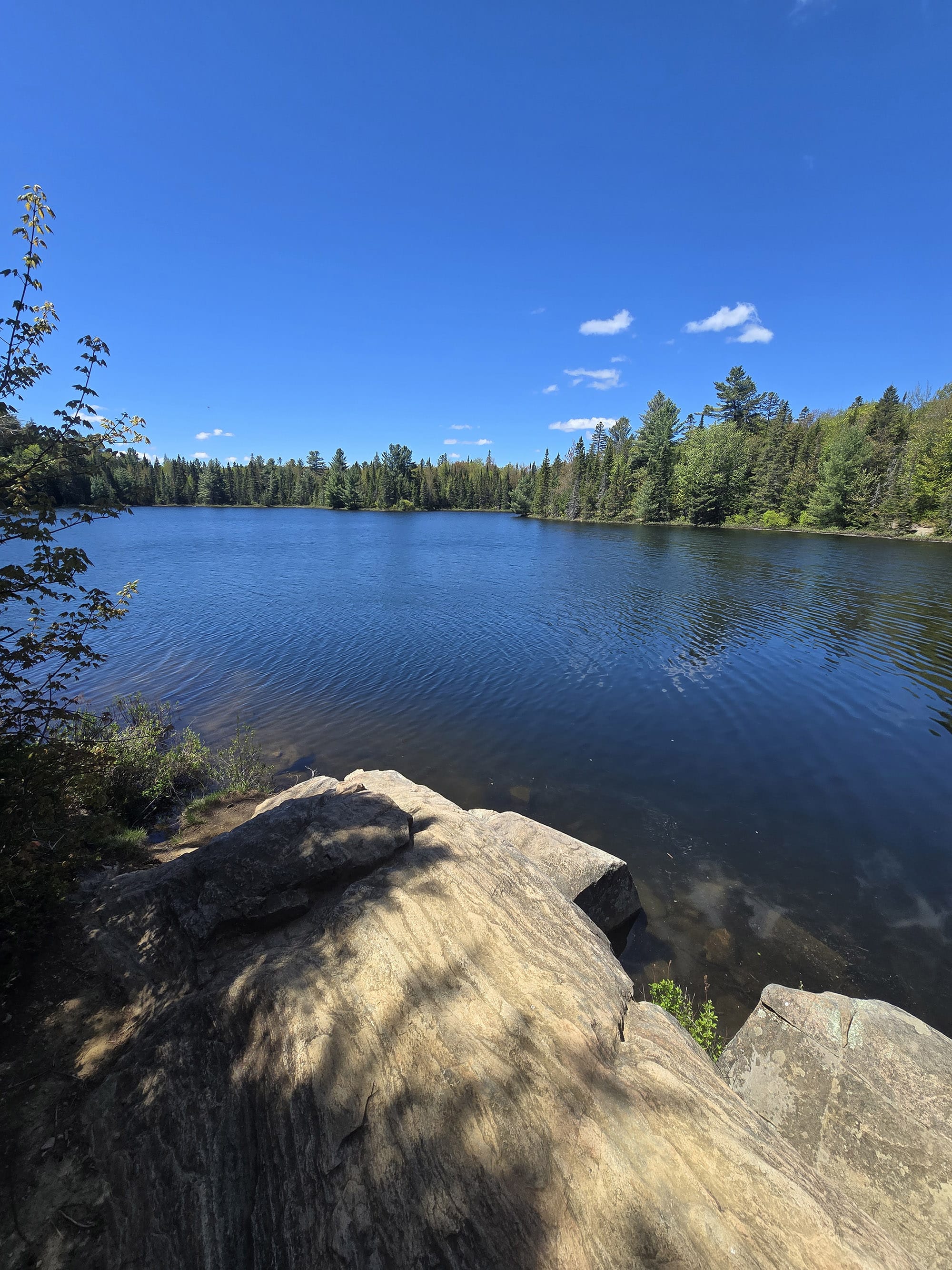A scenic view along the Peck Lake Trail in Algonquin Provincial Park.