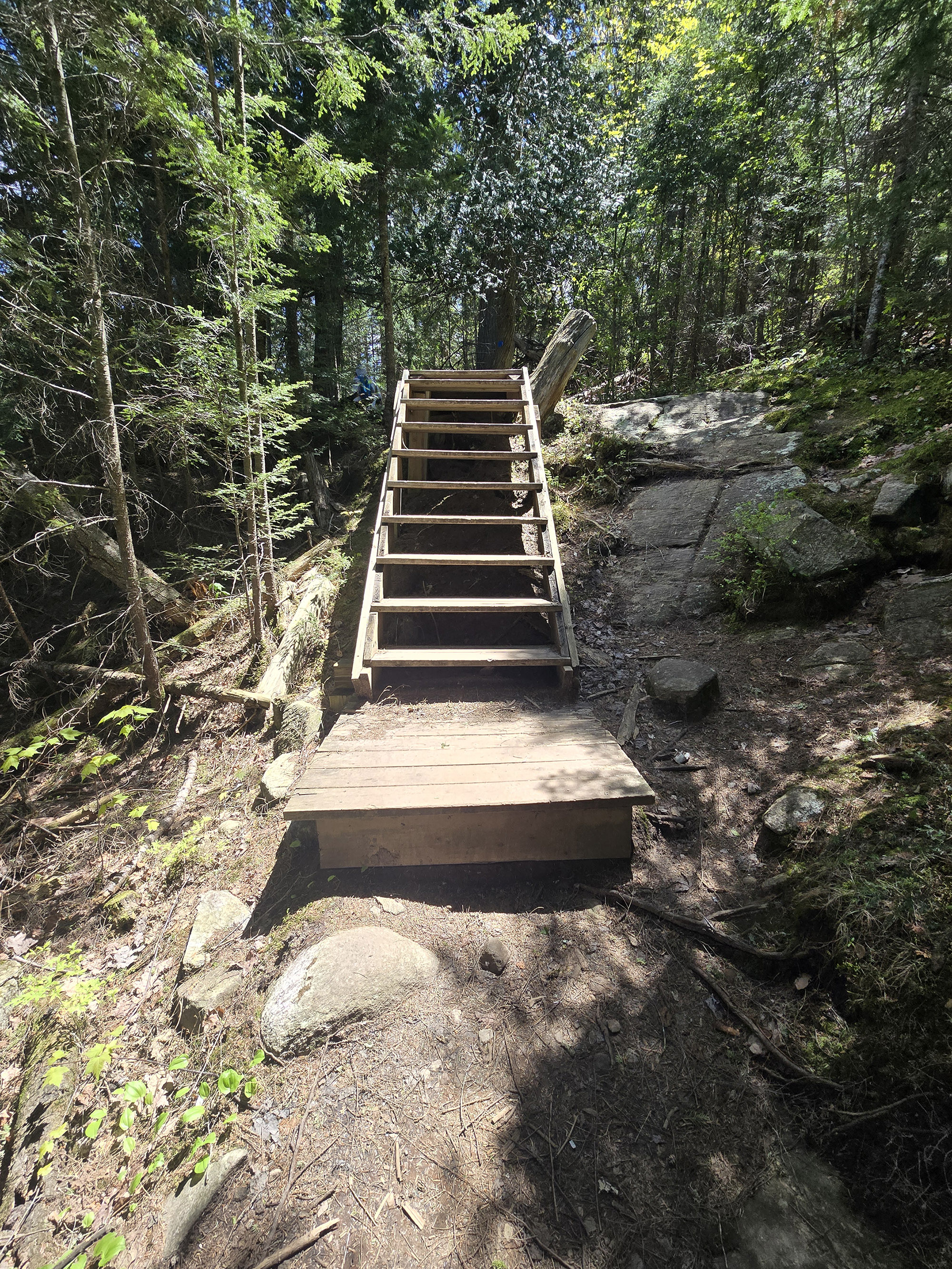 A scenic view along the Peck Lake Hiking Trail in Algonquin Provincial Park.