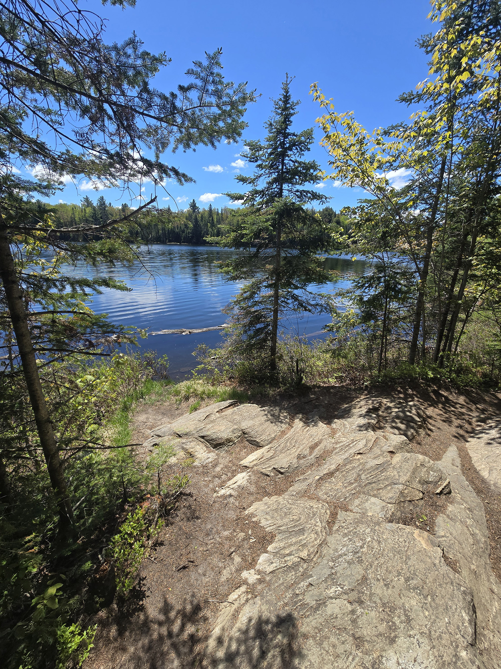 A scenic view along the Peck Lake Trail in Algonquin Provincial Park.