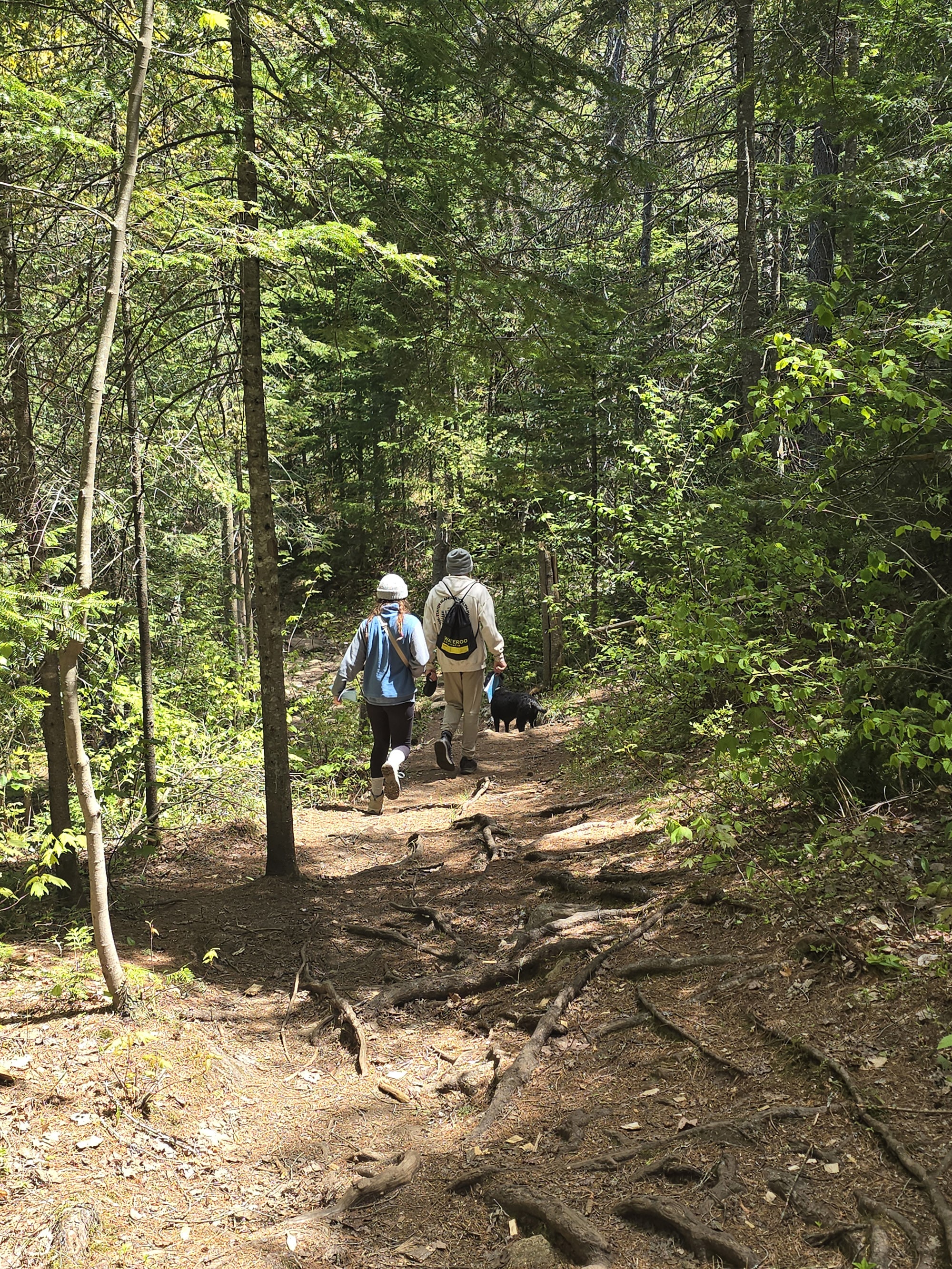 A couple walking a dog along the Peck lake trail.