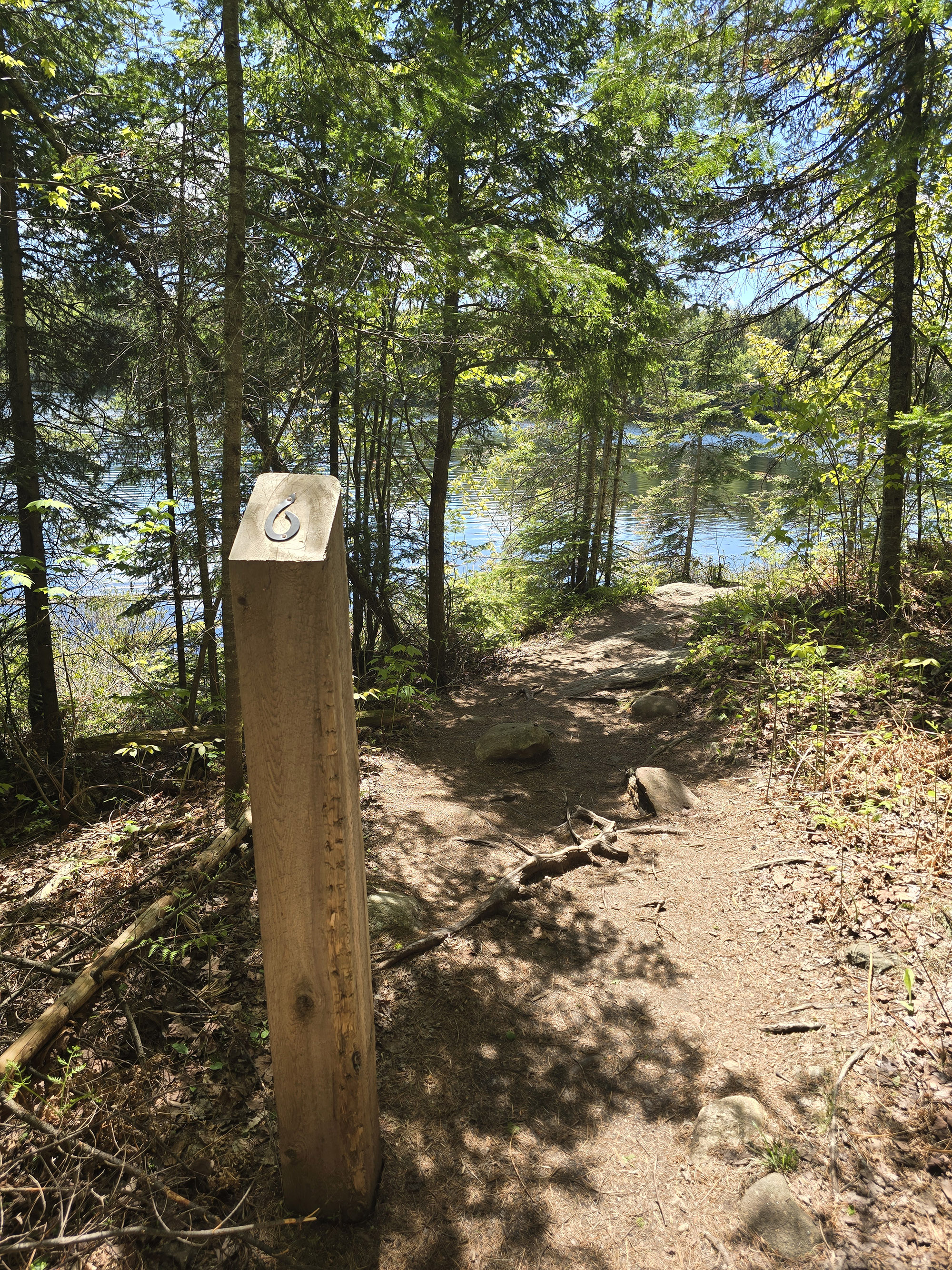 A numbered sign post along the Peck Lake Hiking Trail.