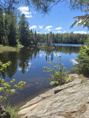 A view over Peck lake.