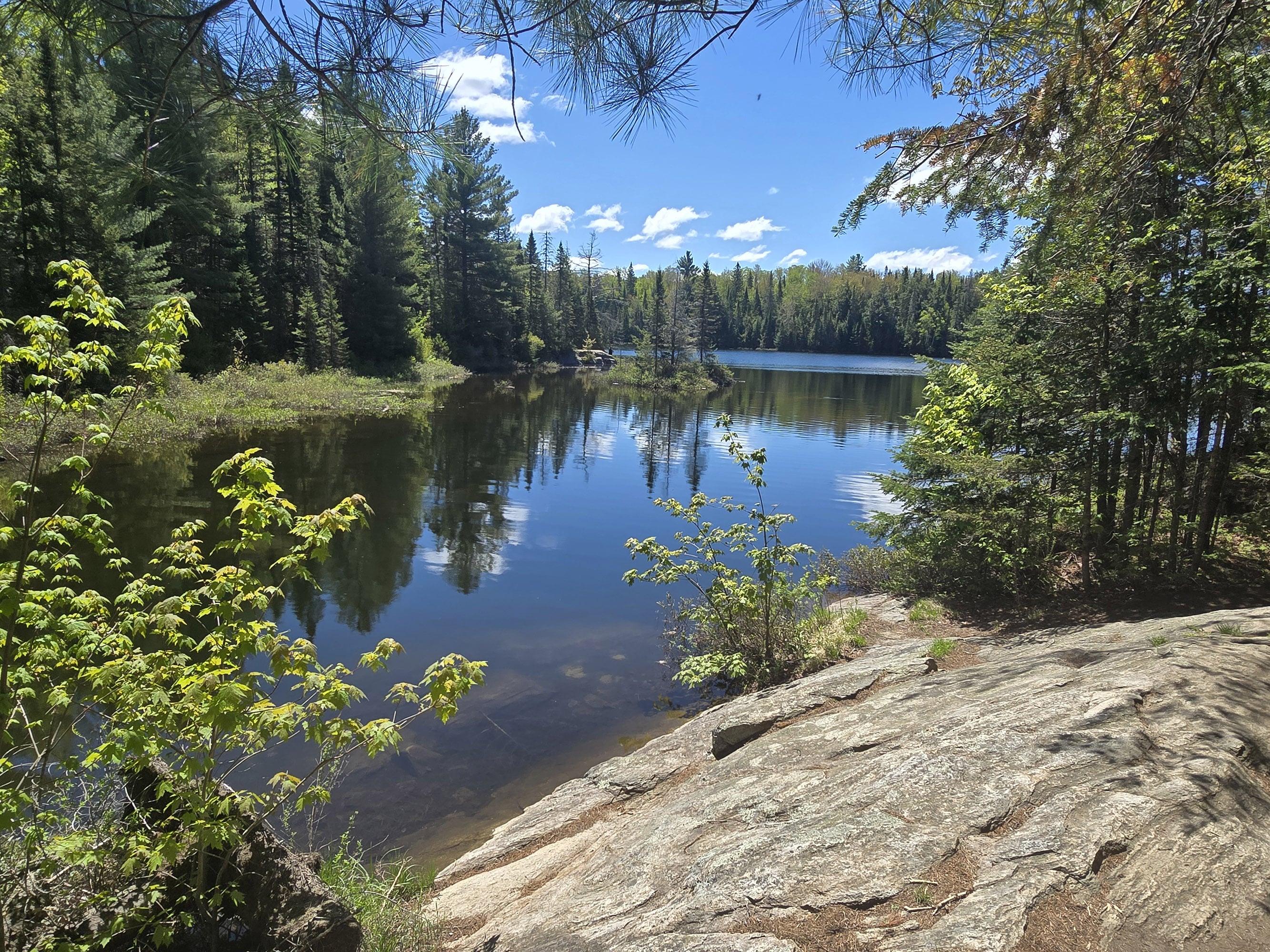 A view over Peck lake.