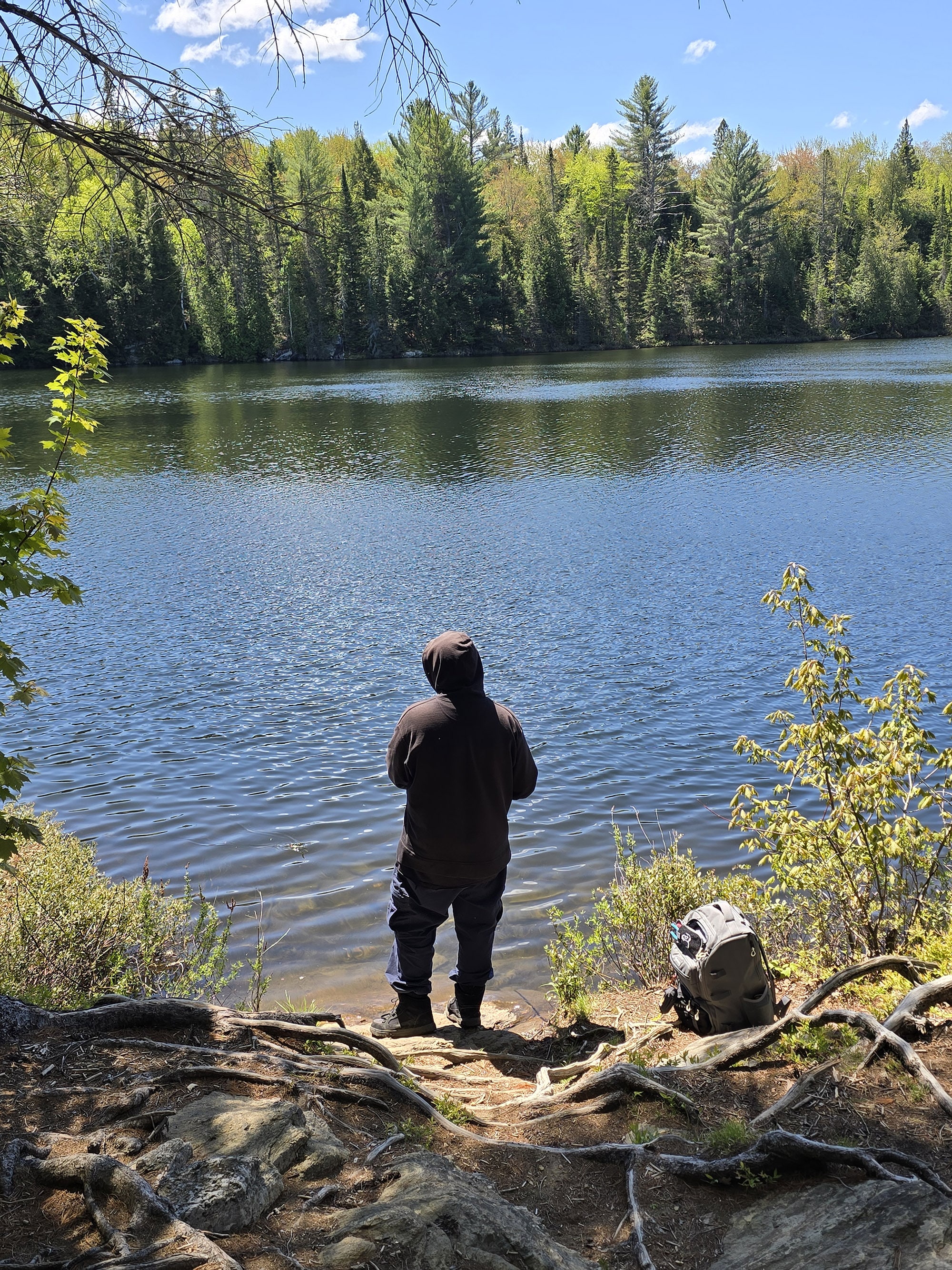 A man fishing from the shore of Peck Lake.
