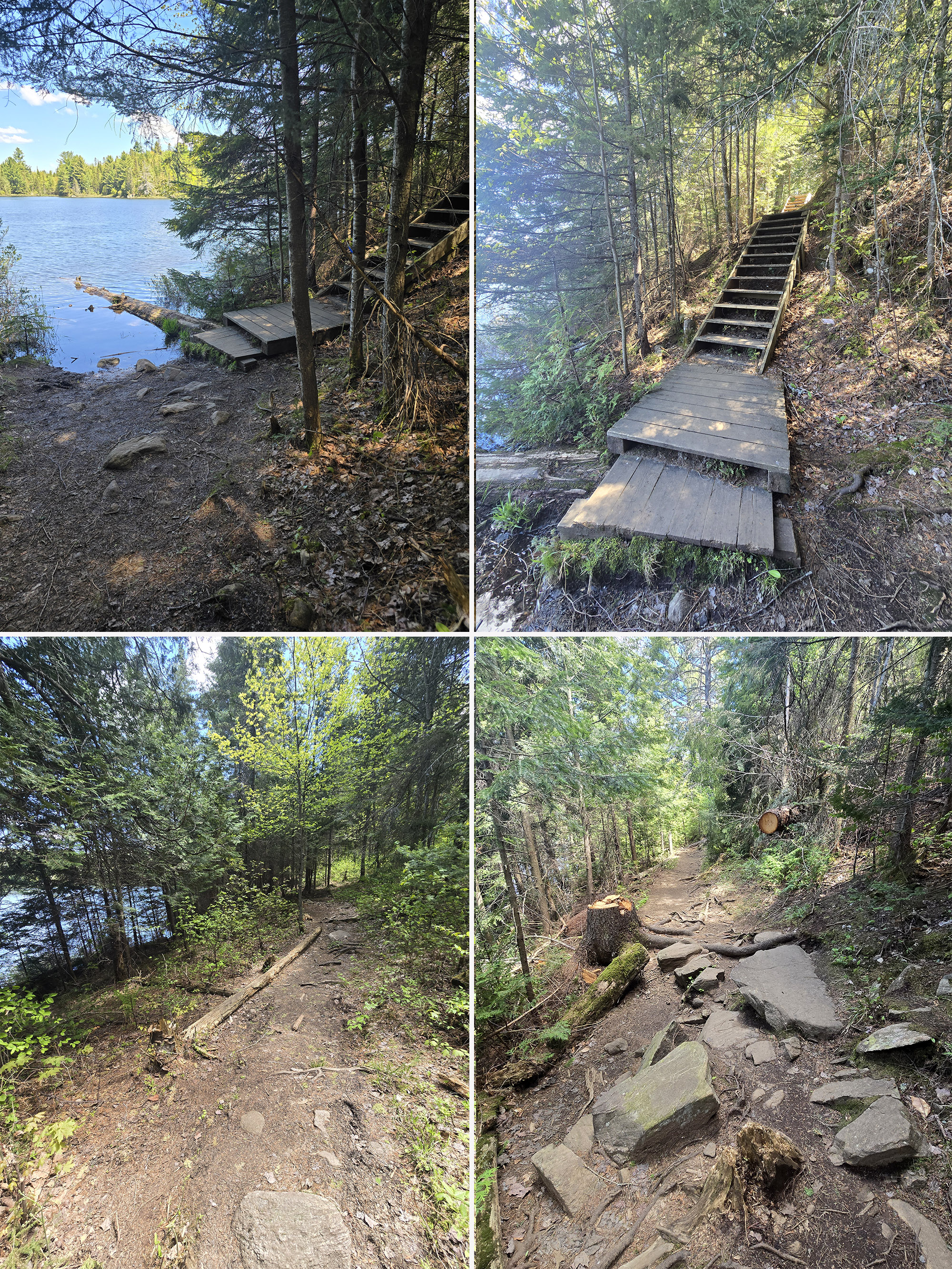 4 part image showing various views along the peck lake trail in algonquin provincial park.