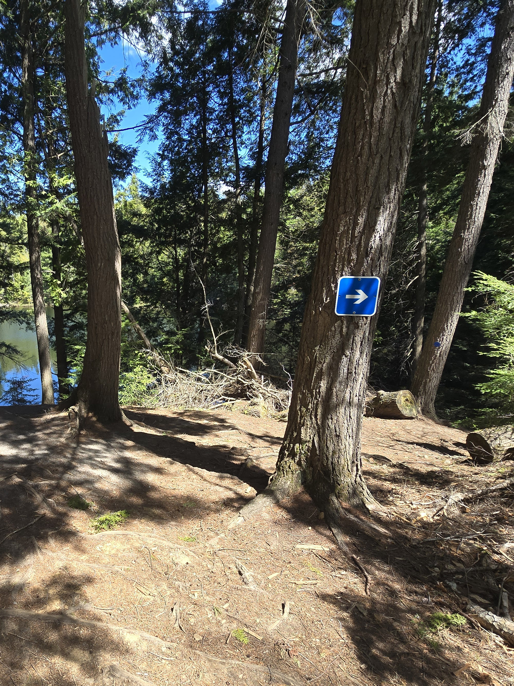 A trail blaze along the Peck Lake Trail.