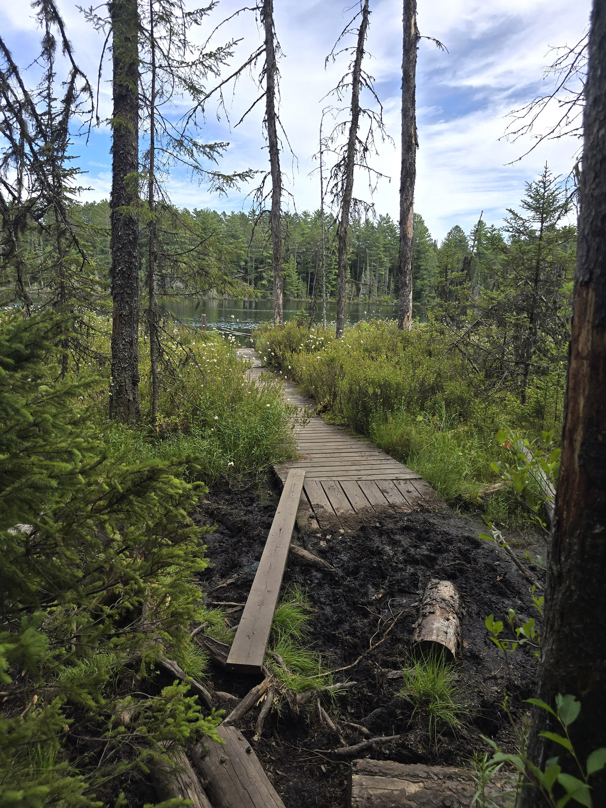 A scenic view along the Bat Lake Trail in Algonquin Provincial Park.