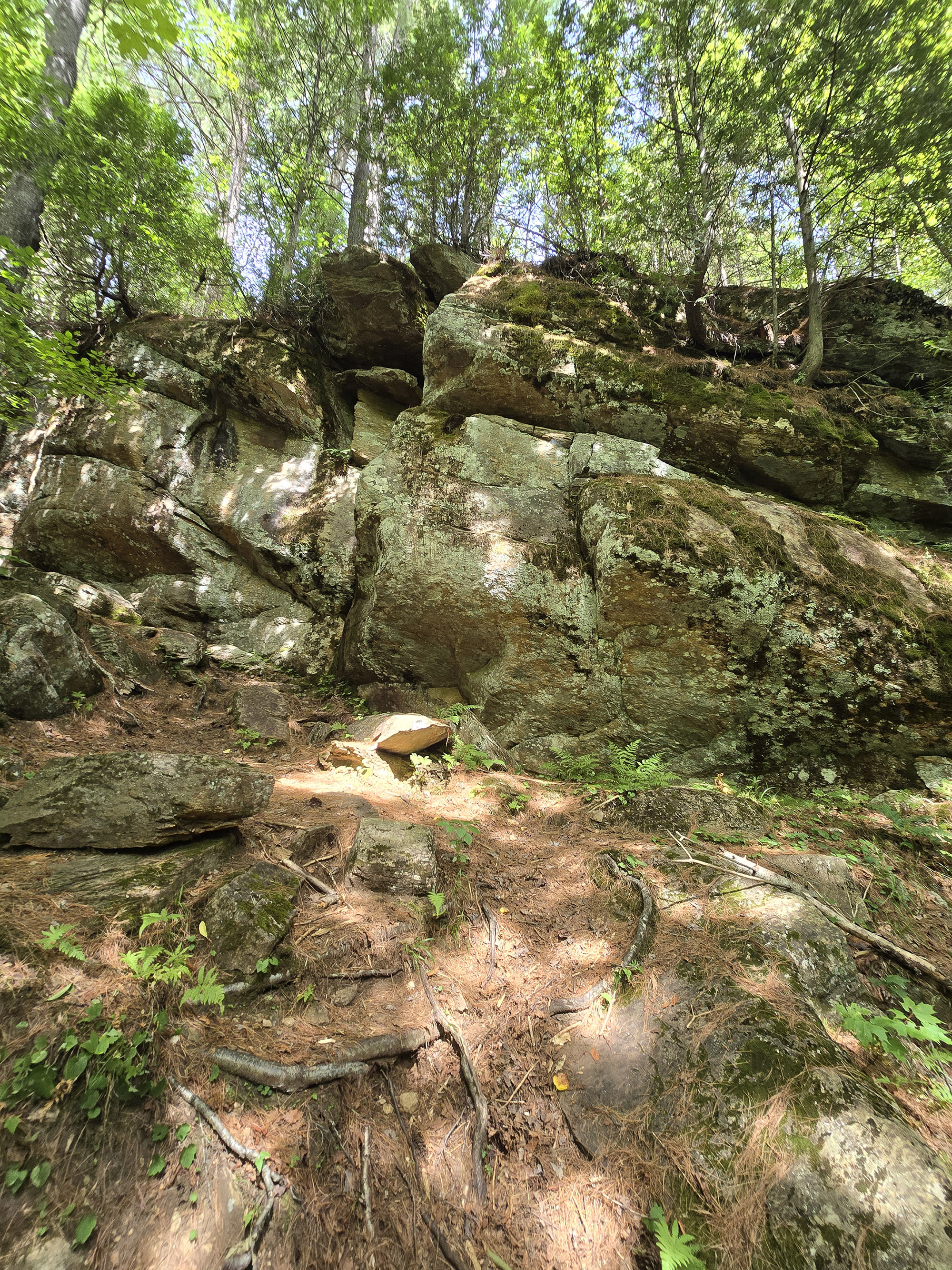 A scenic view along the Bat Lake Trail in Algonquin Provincial Park.