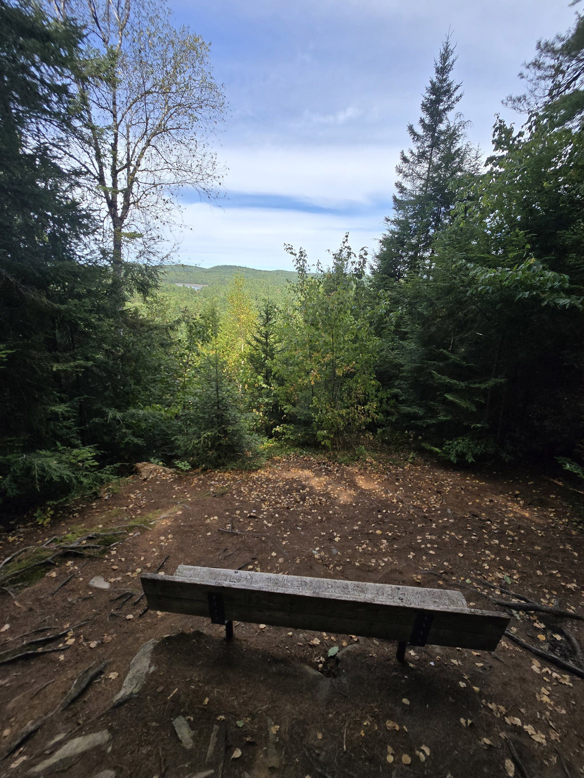 A scenic view along the Bat Lake Trail in Algonquin Provincial Park.