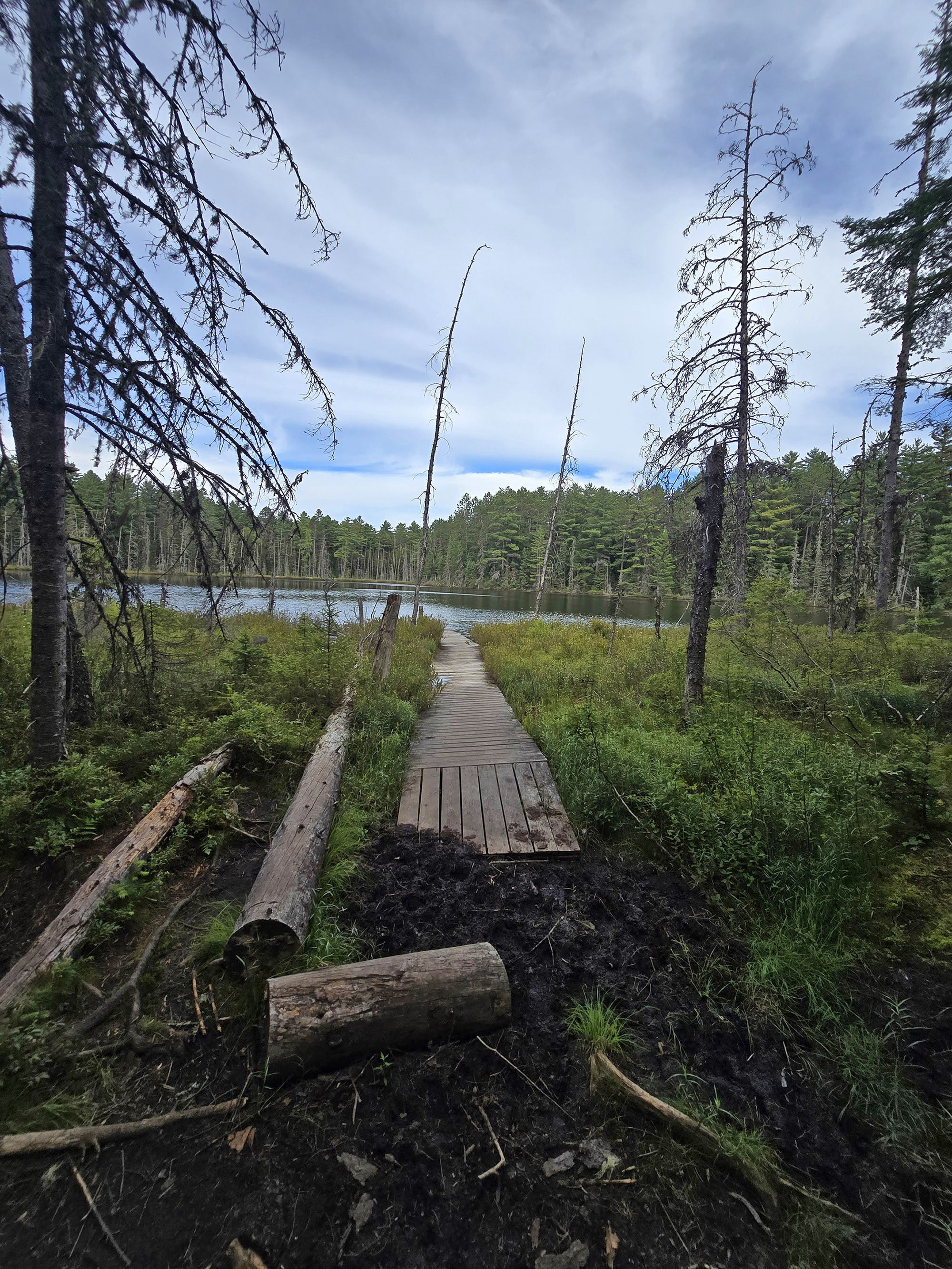 A scenic view along the Bat Lake Trail in Algonquin Provincial Park.