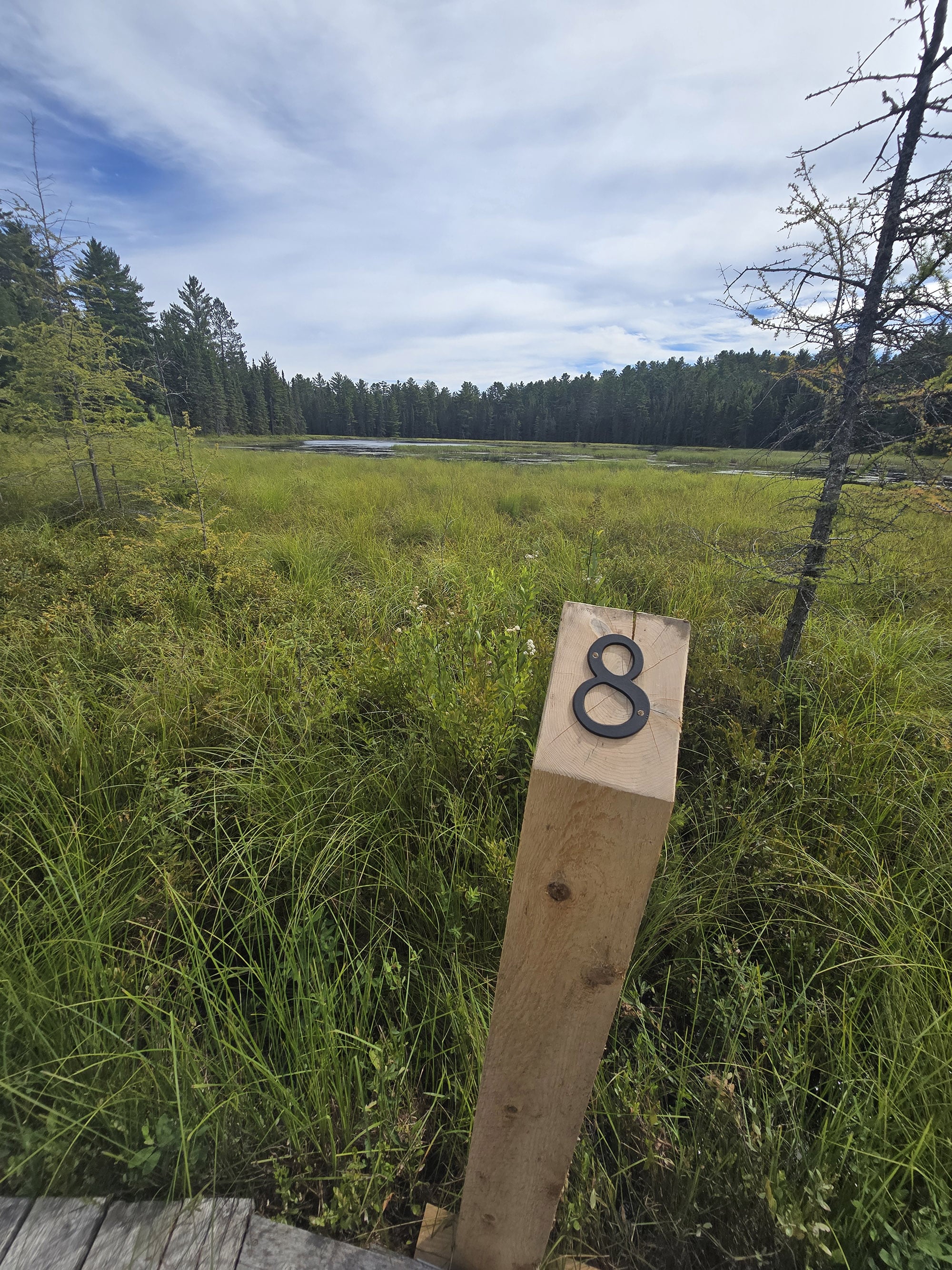 A numbered post in front of a marsh on the Bat Lake Trail.
